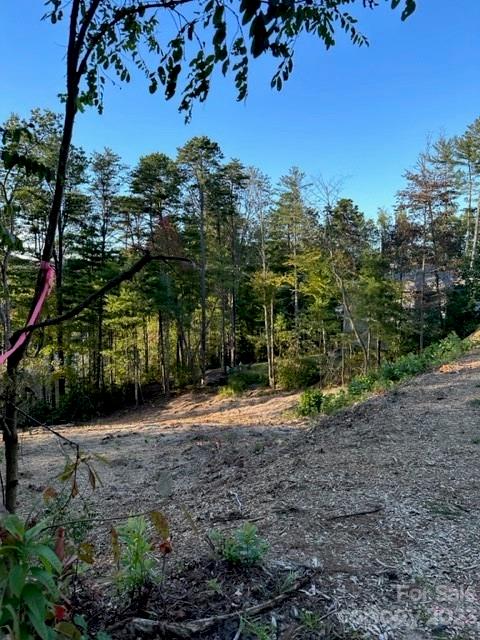 Property image 1 at 70 Crossings Circle, Fairview, NC 28730