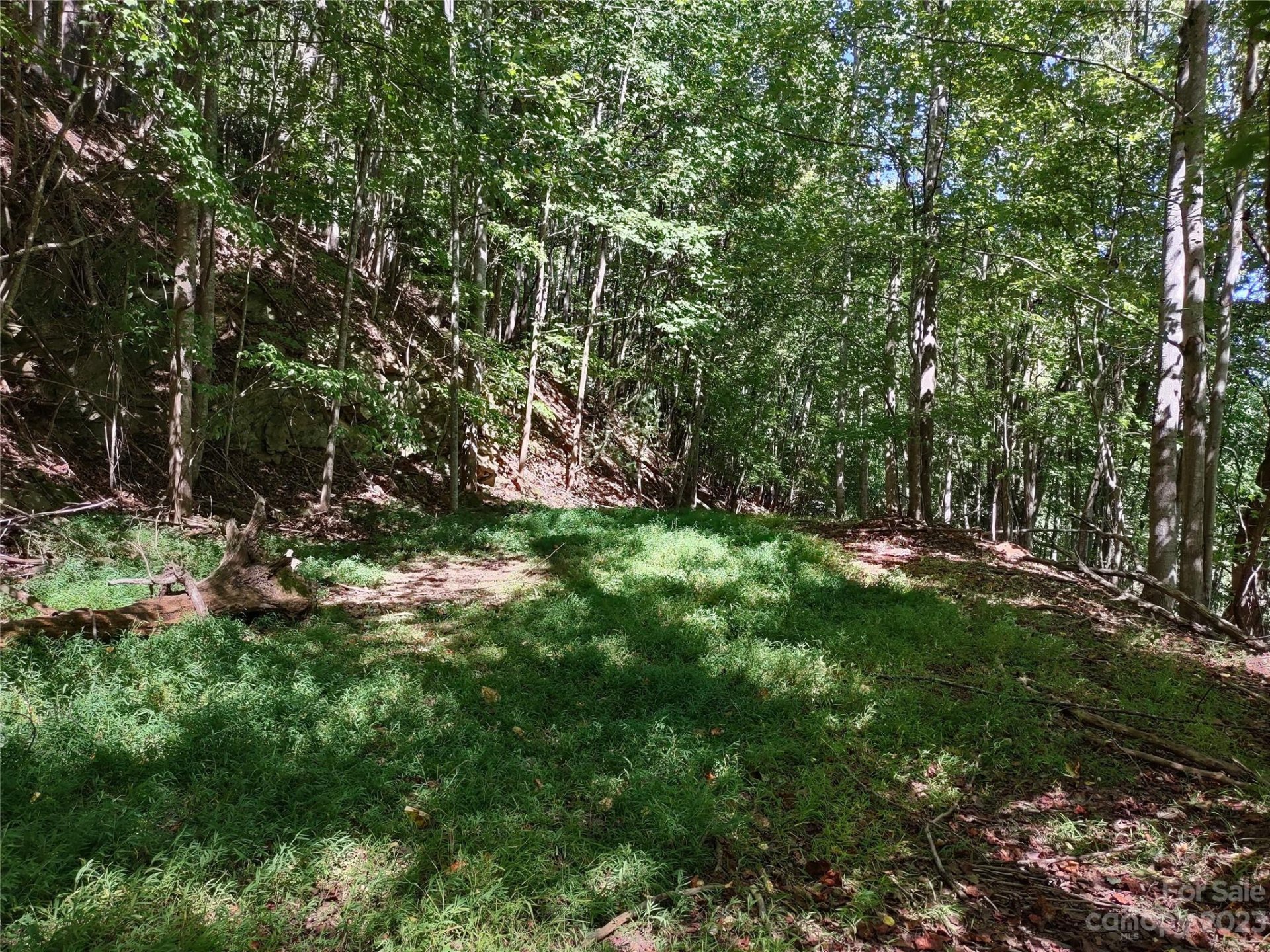 Property image 4 at 99999 High Vista Drive, Mills River, NC 28759