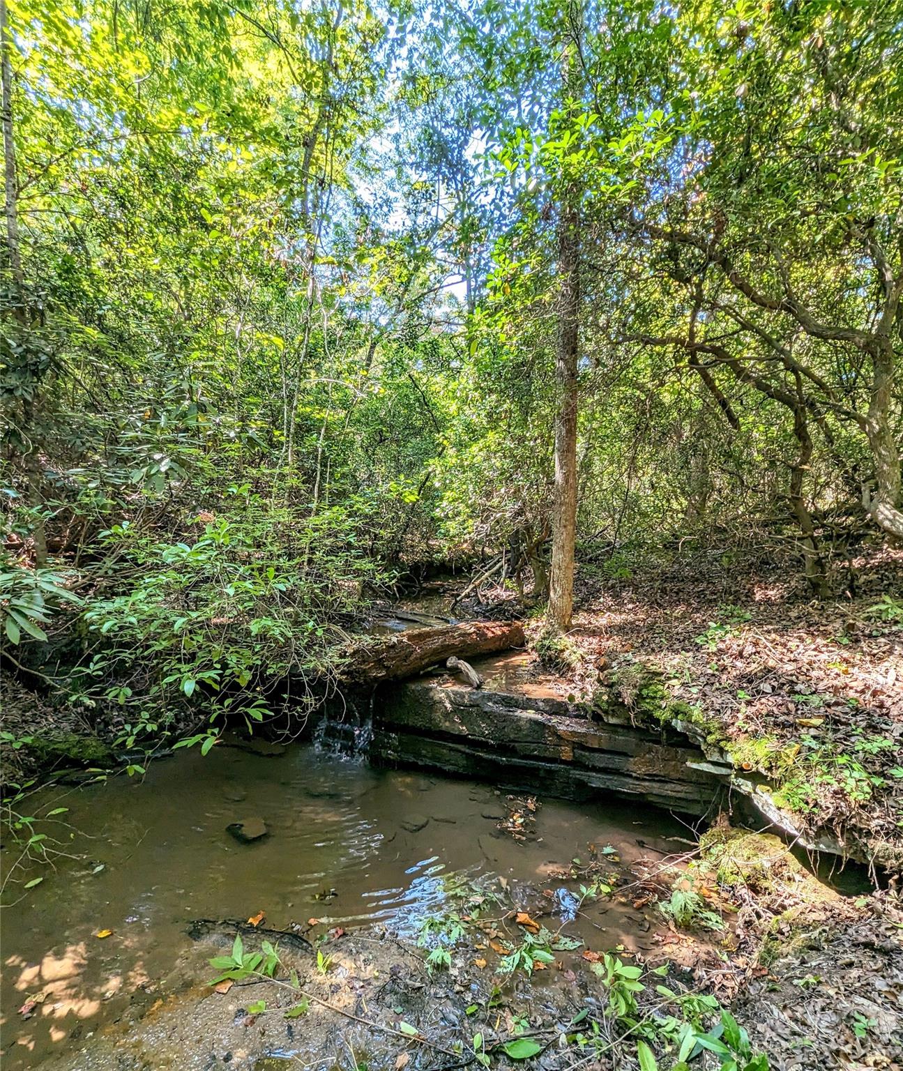 Property image 1 at 17 Brookside Parkway, Lake Lure, NC 28746