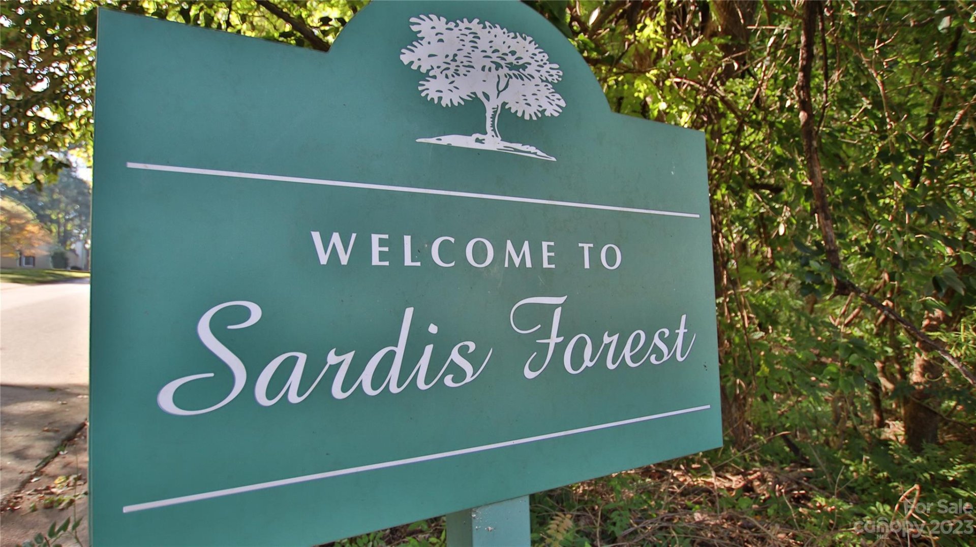 9111 Tree Haven Drive