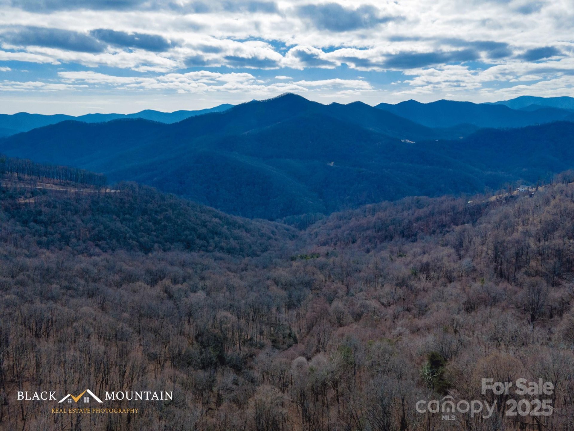 Property image 3 at 00 High Rock View Drive, Canton, NC 28716