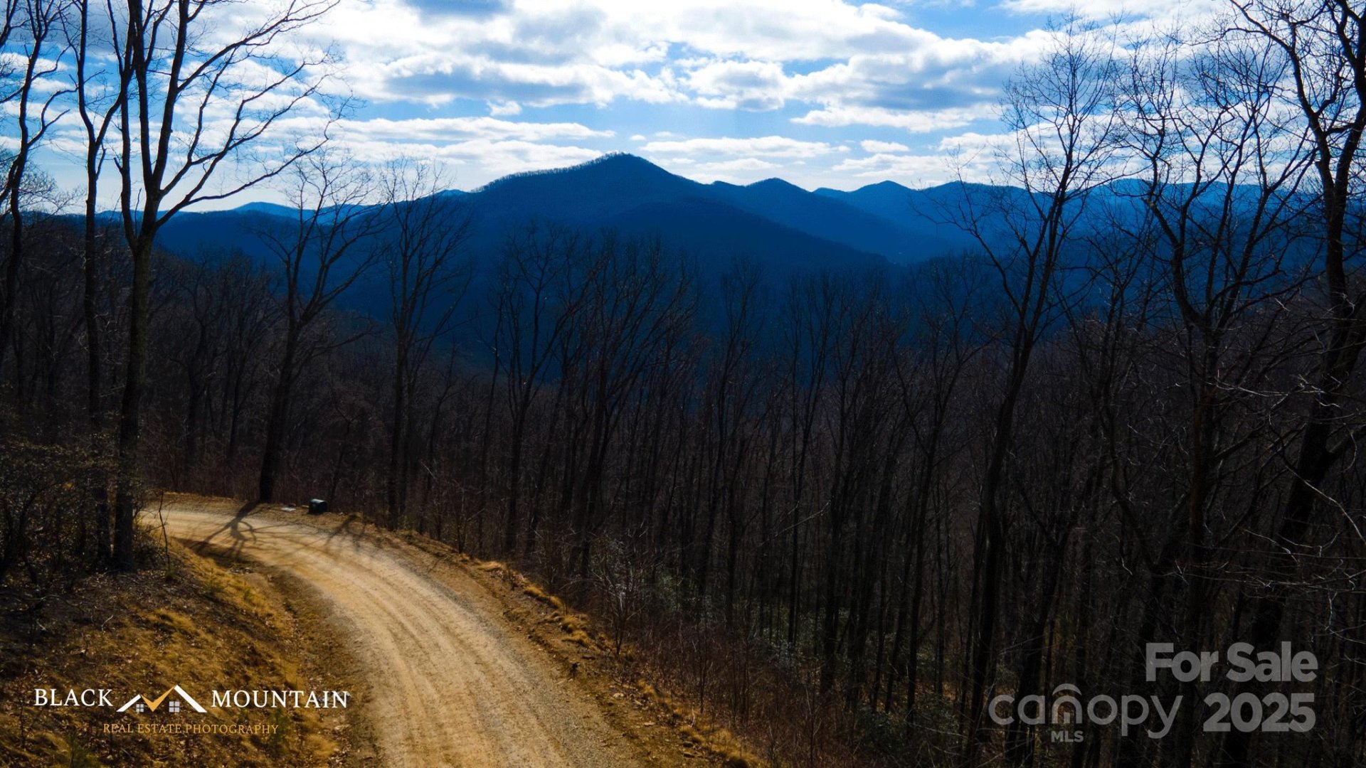 Property image 4 at 00 High Rock View Drive, Canton, NC 28716