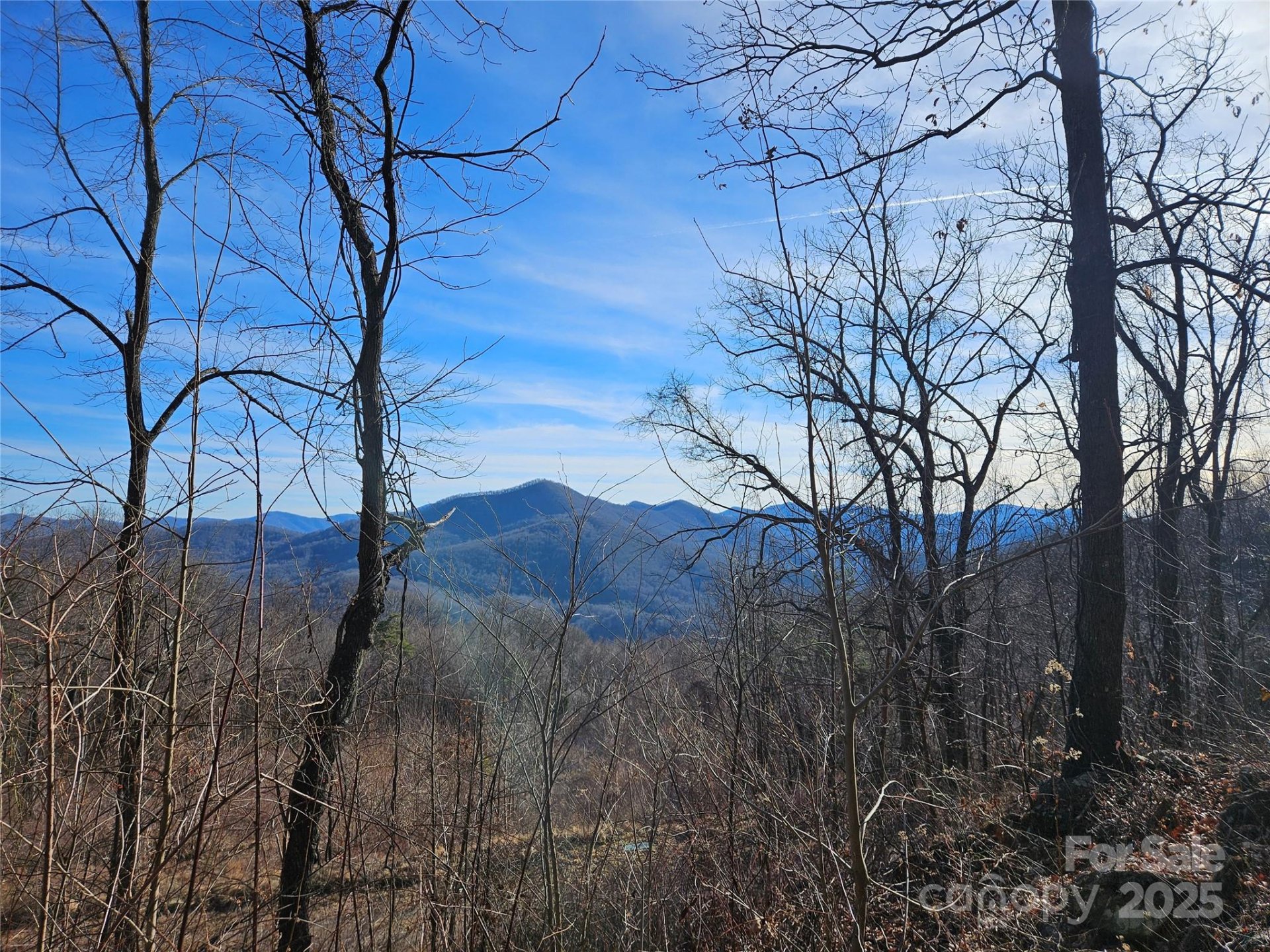 Property image 5 at 00 High Rock View Drive, Canton, NC 28716