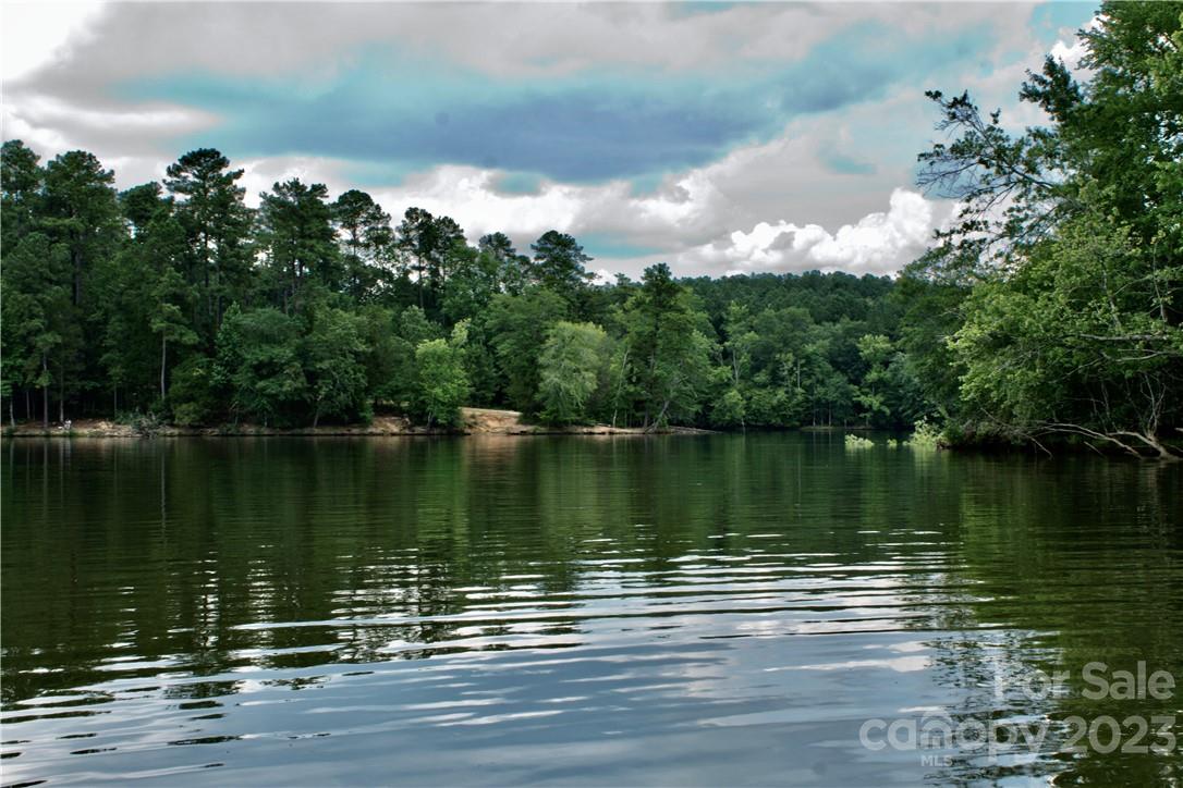 Property image 2 at 236 260 General Sumter Drive, Great Falls, SC 29055