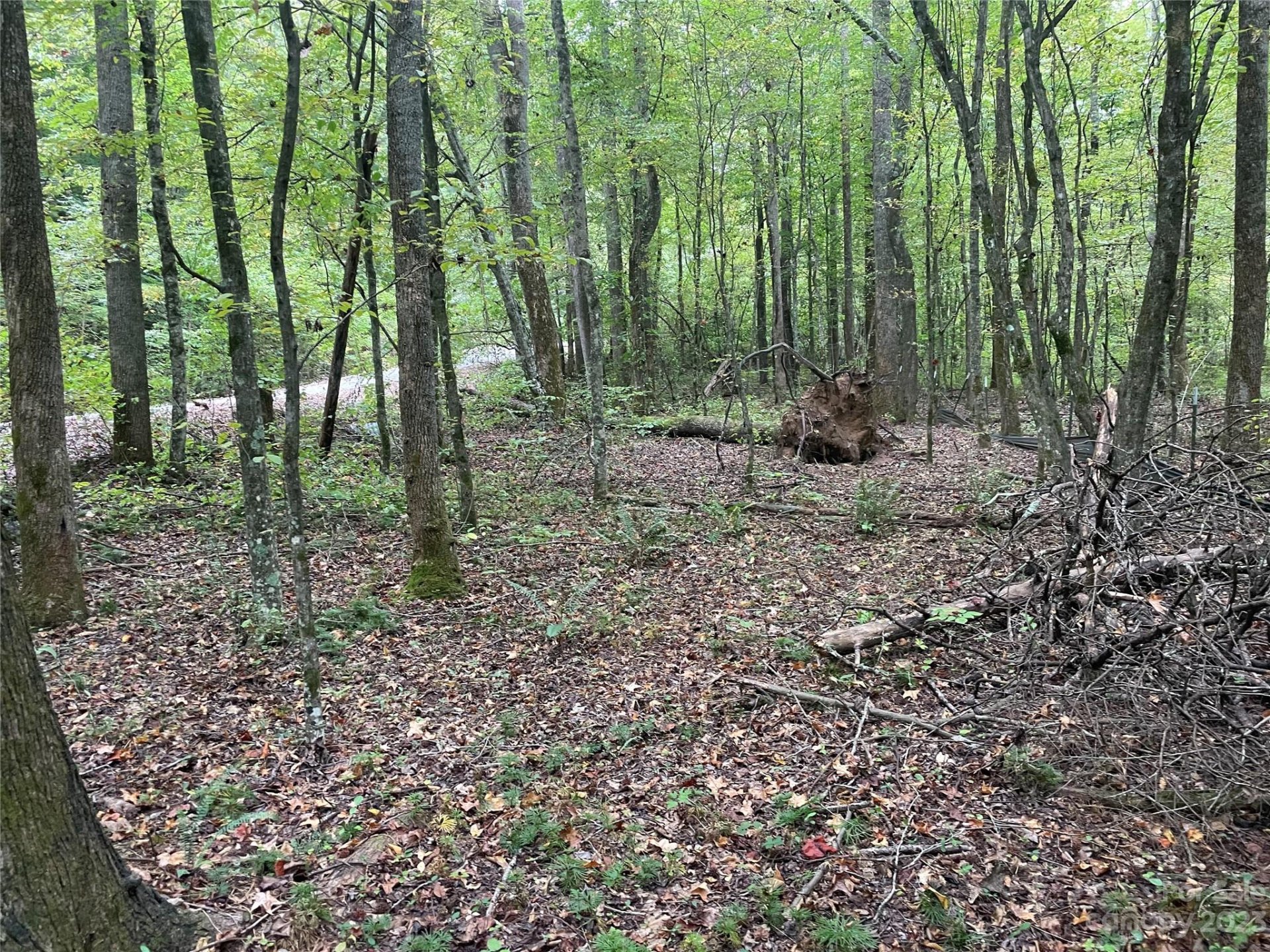 Property image 1 at 125 133 Haven Heights Drive, Marion, NC 28752