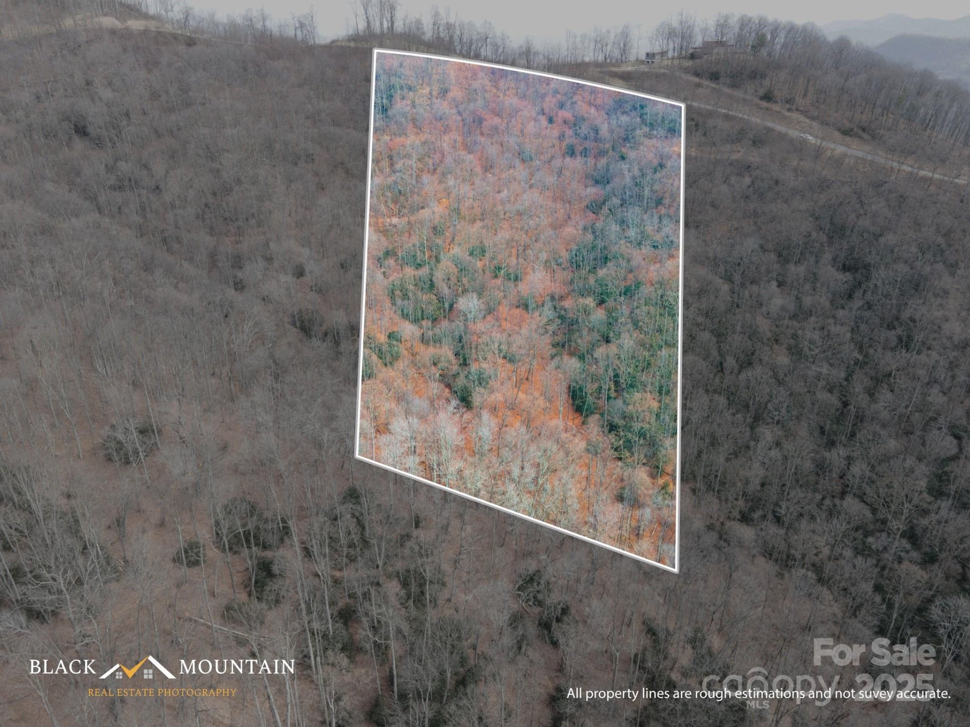 Property image 3 at 00 Summit View Drive, Canton, NC 28716