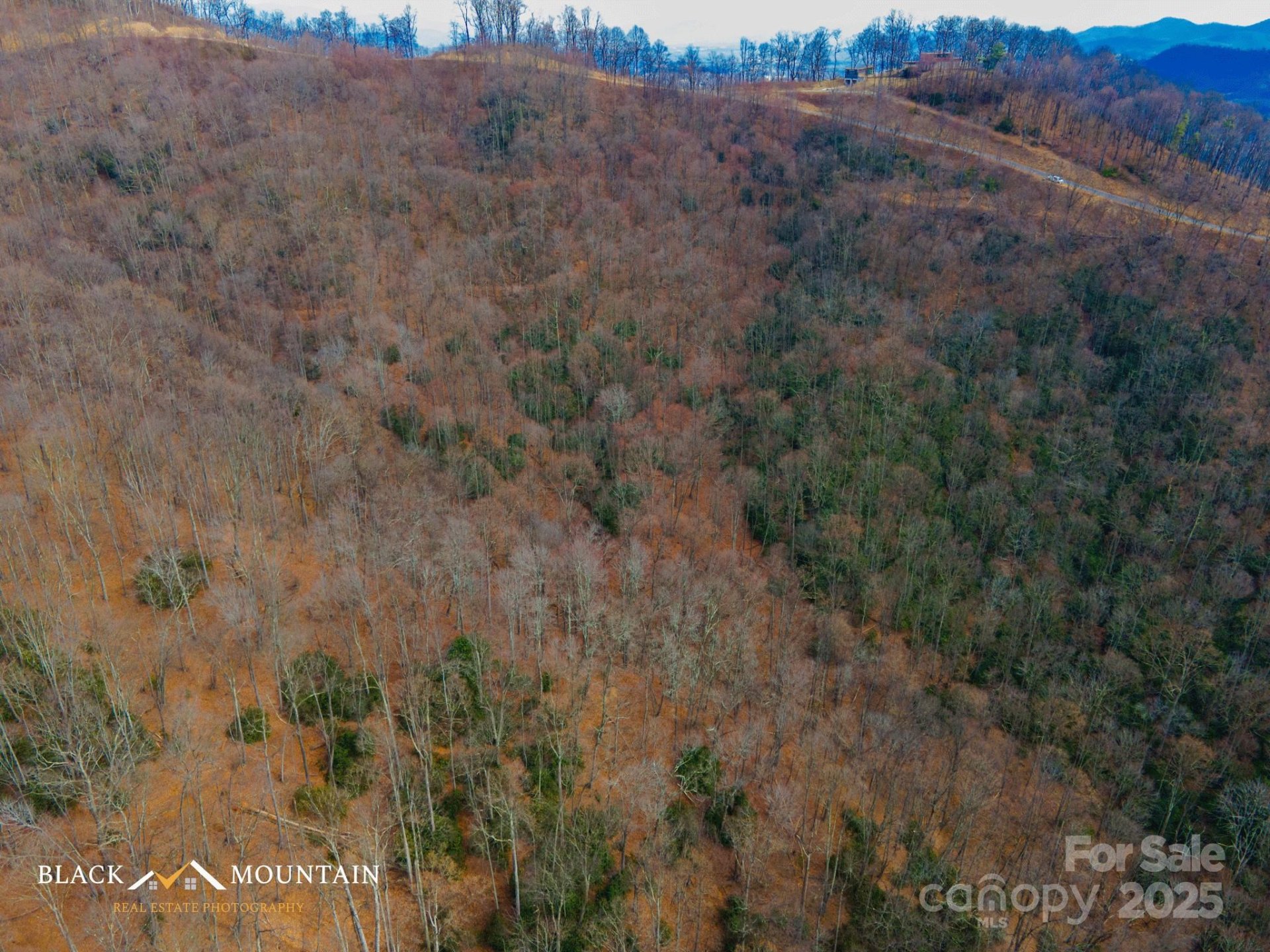 Property image 4 at 00 Summit View Drive, Canton, NC 28716