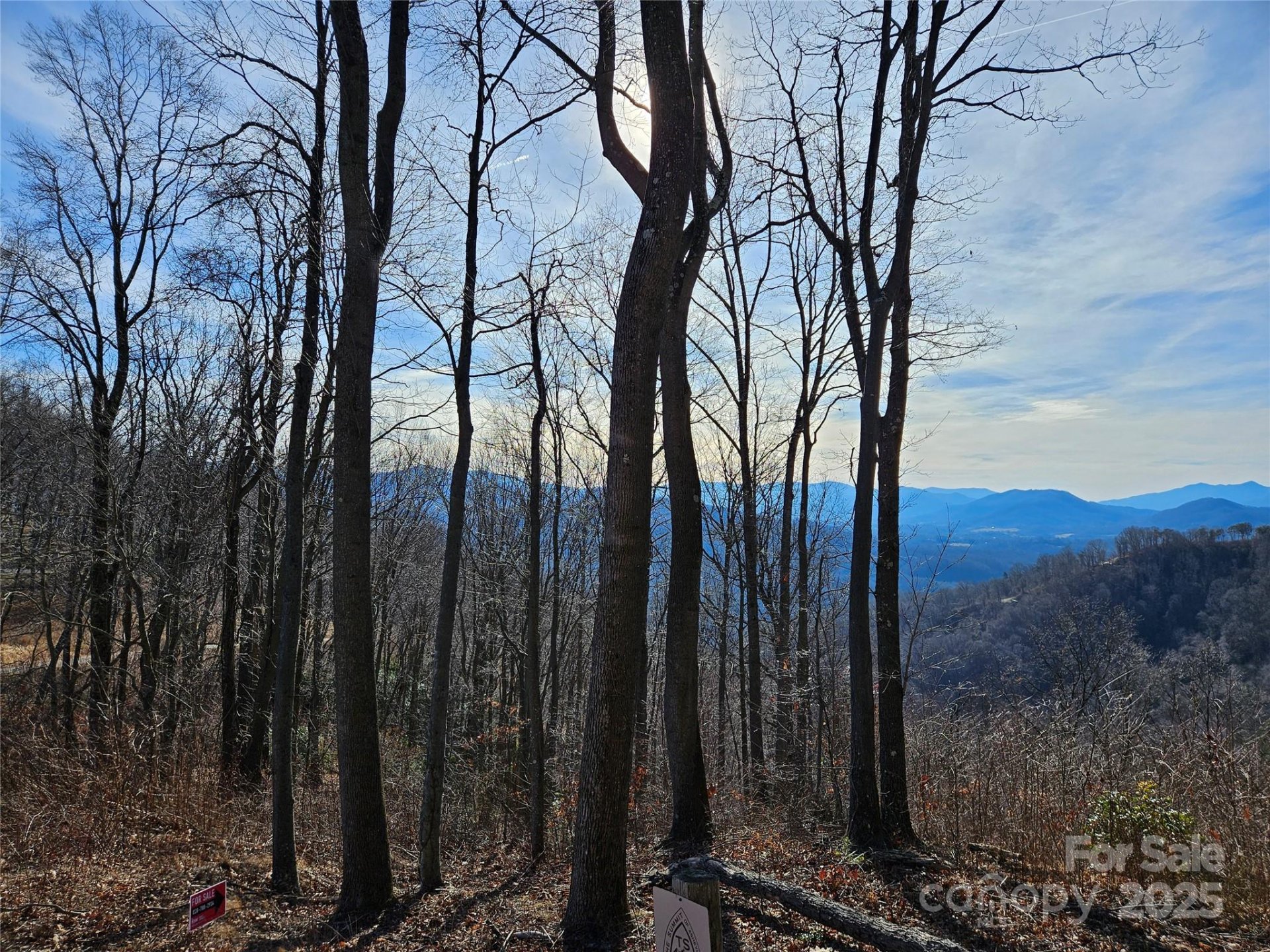 Property image 5 at 00 Summit View Drive, Canton, NC 28716