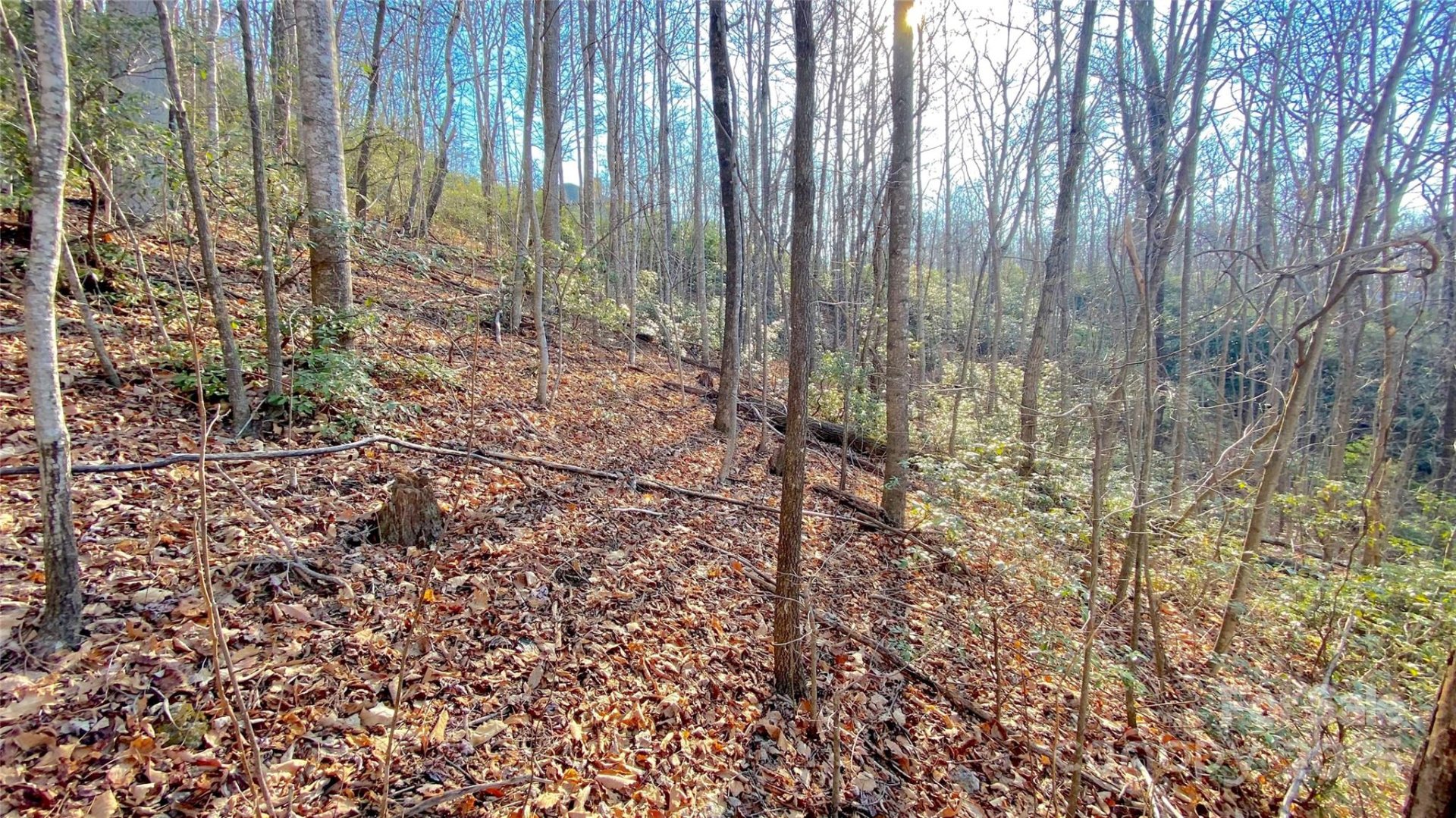 Property image 5 at 936 Acacia Court, Black Mountain, NC 28711