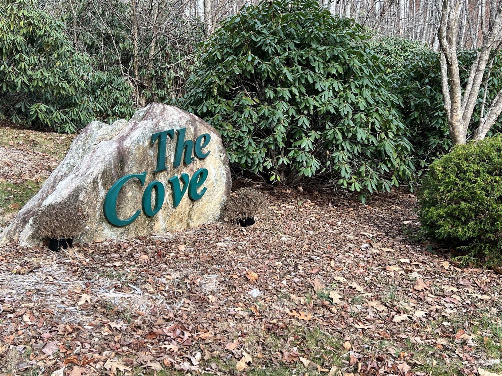 00 Evans Cove Road