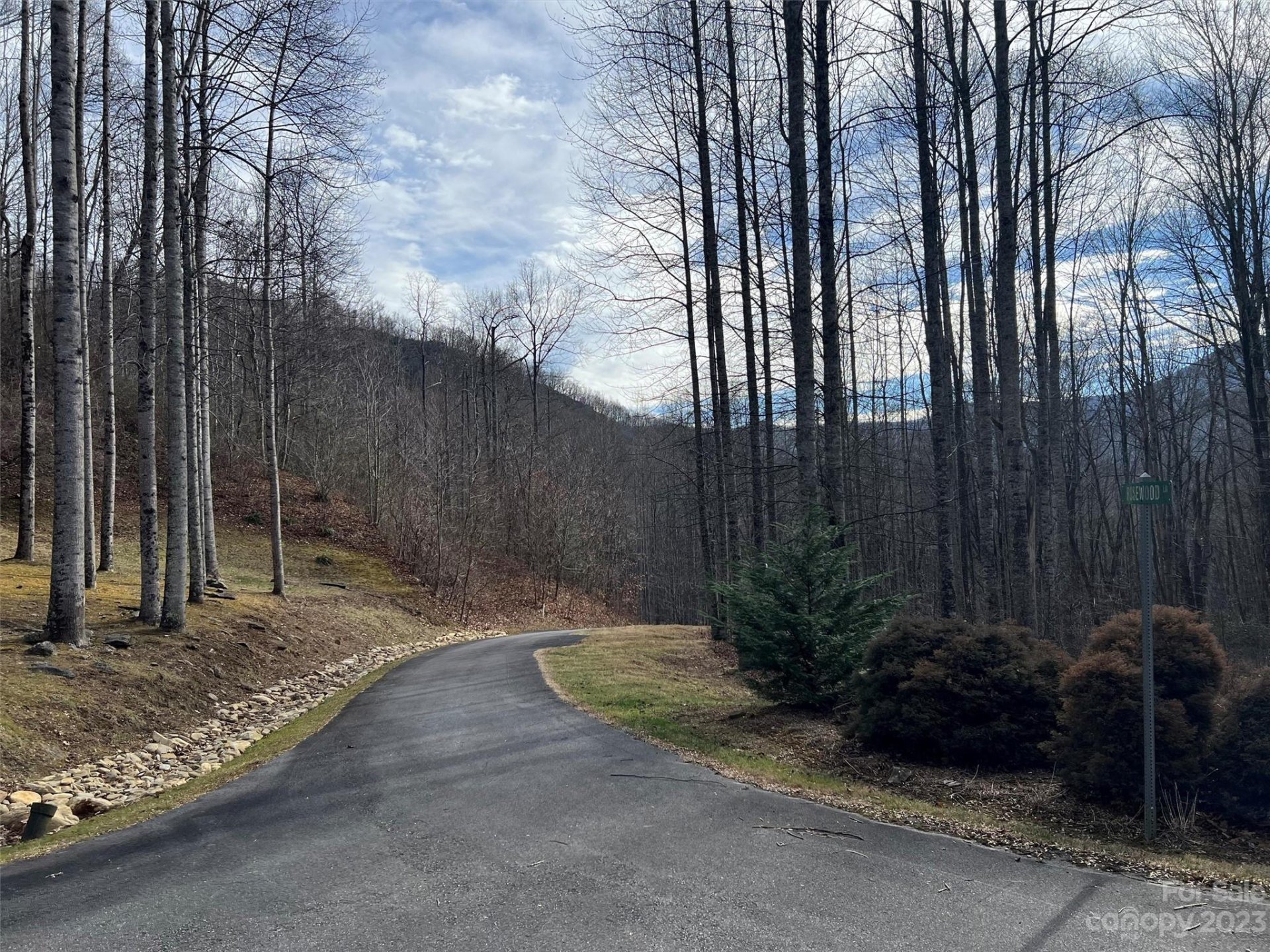 Property image 4 at 00 Evans Cove Road, Maggie Valley, NC 28751