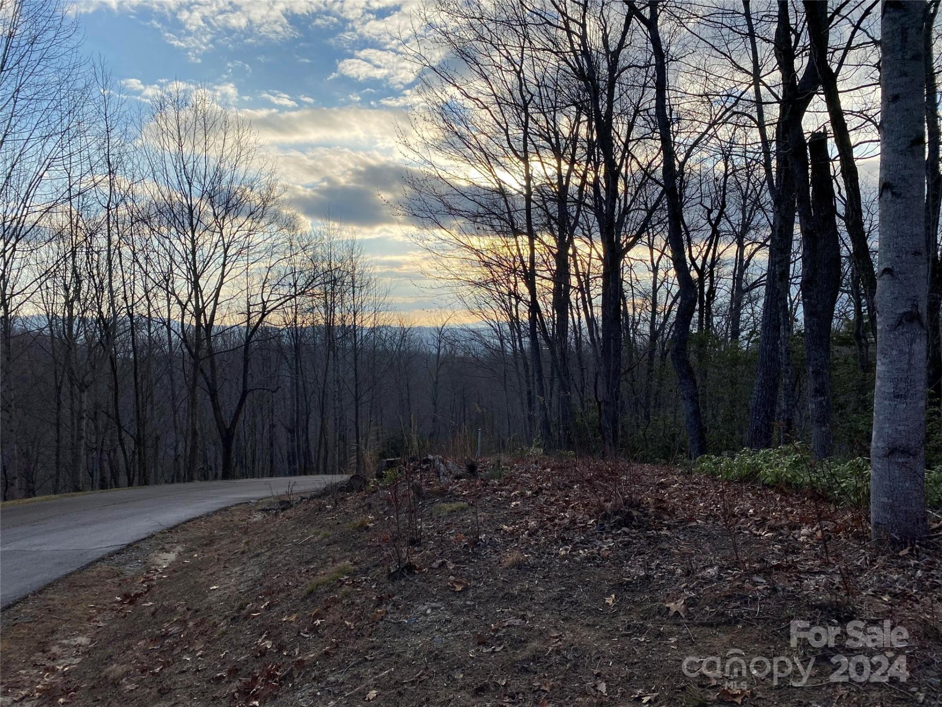 Property image 1 at Lot 5 Red Bud Lane, Laurel Park, NC 28739