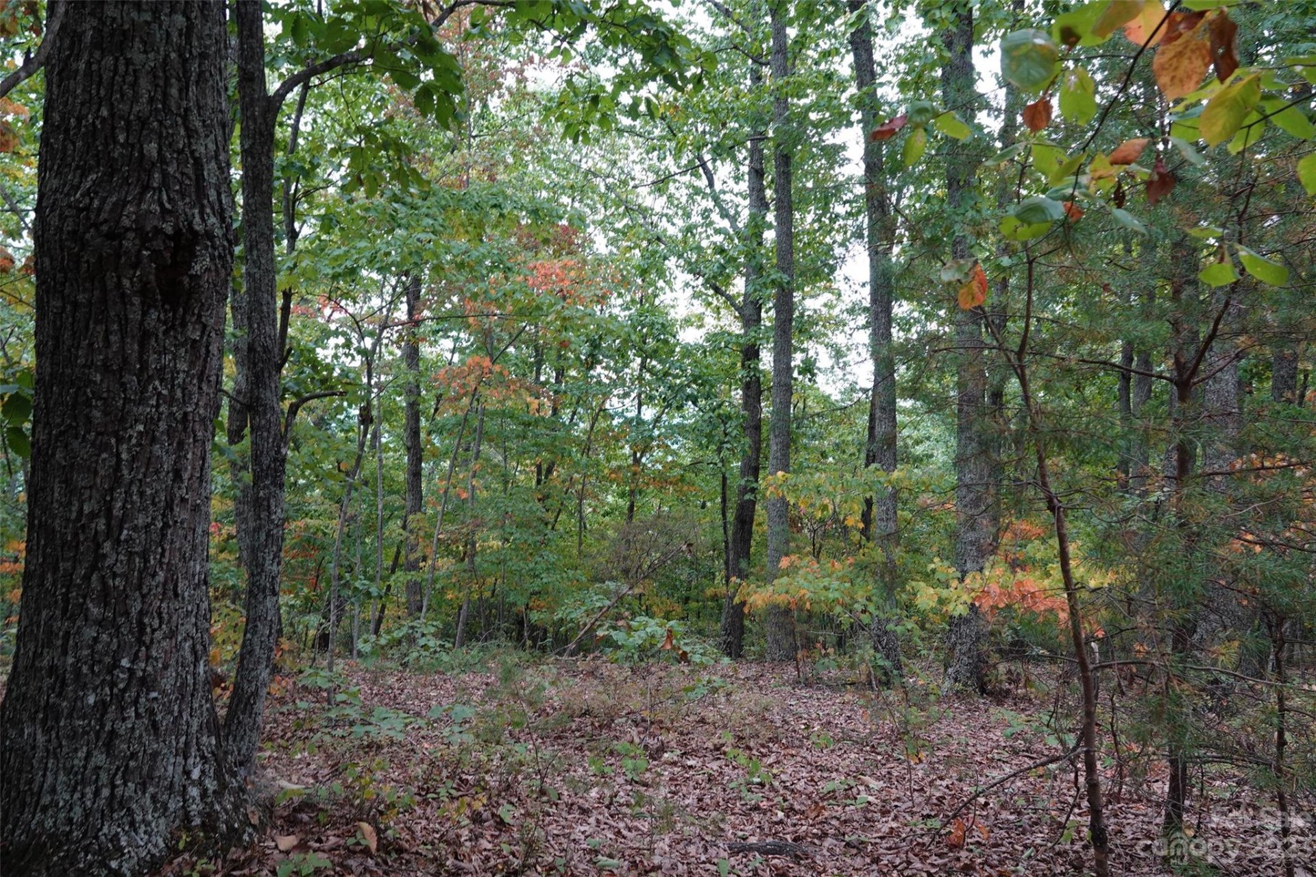 Property image 1 at 42 Mountain Lookout Drive, Bostic, NC 28018