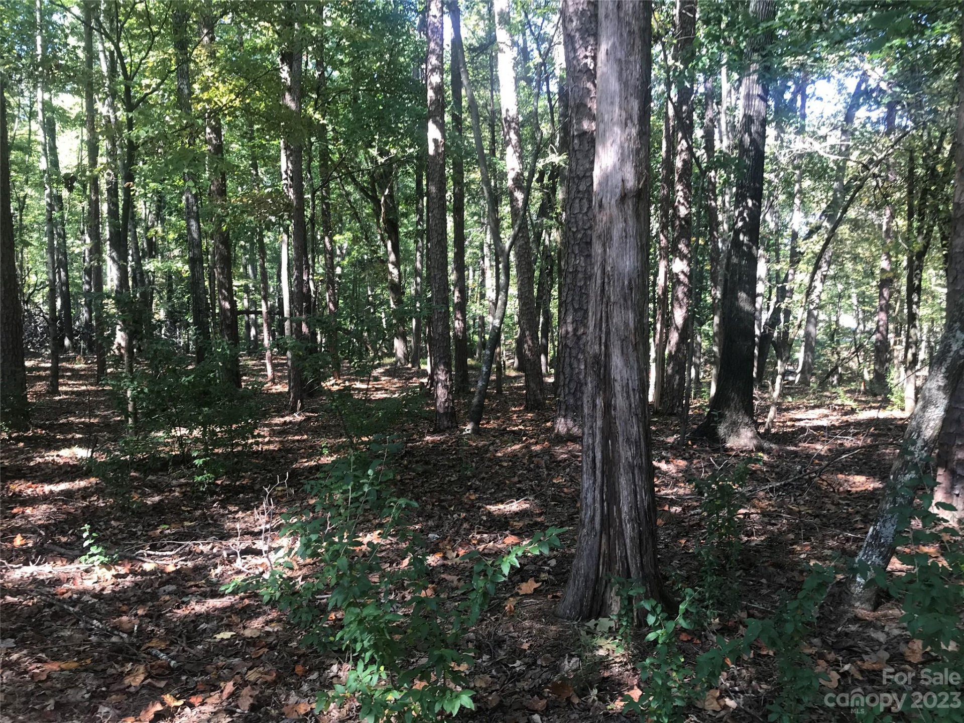 Property image 1 at 2336 Salute Boulevard, Mint Hill, NC 28227