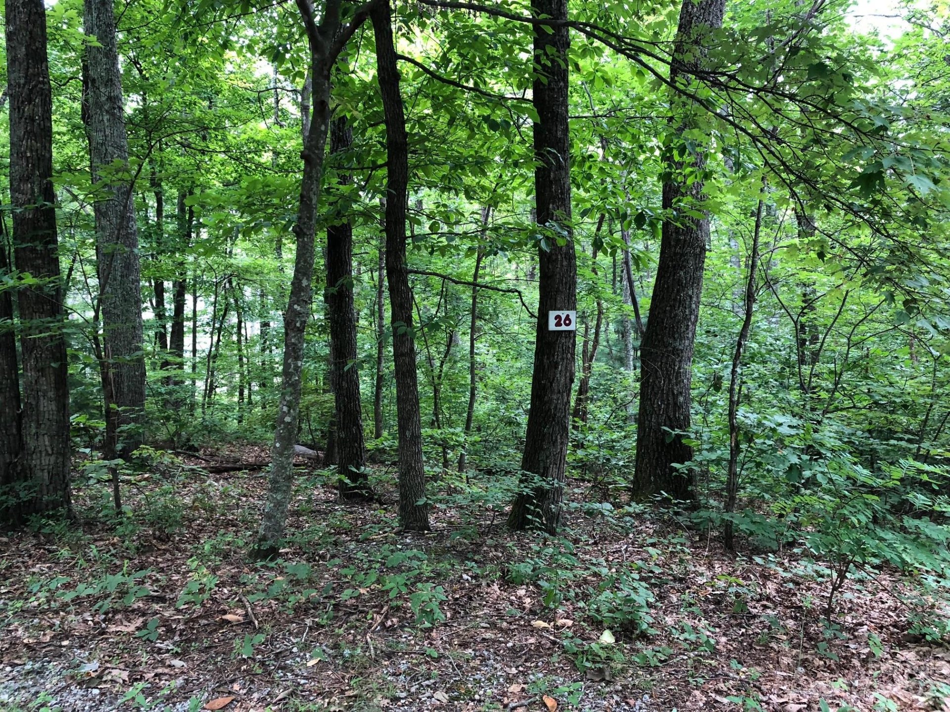 00 Butler Ridge Trail