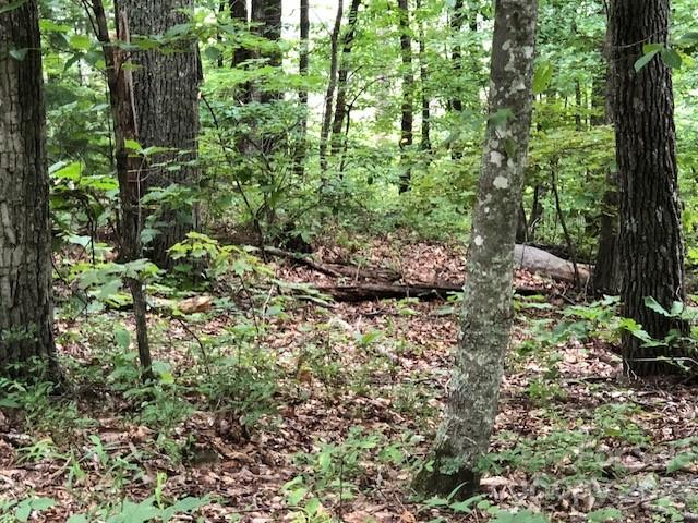 Property image 3 at 00 Butler Ridge Trail, Hendersonville, NC 28792
