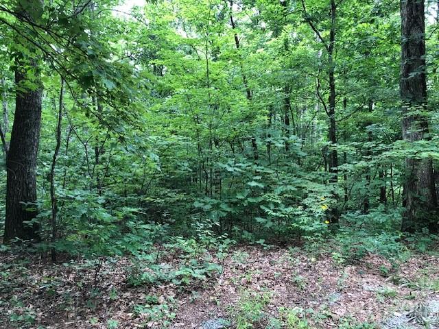 Property image 4 at 00 Butler Ridge Trail, Hendersonville, NC 28792