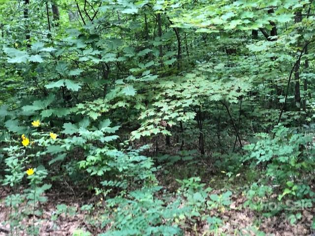 Property image 5 at 00 Butler Ridge Trail, Hendersonville, NC 28792