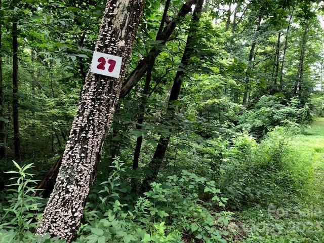 00 Butler Ridge Trail