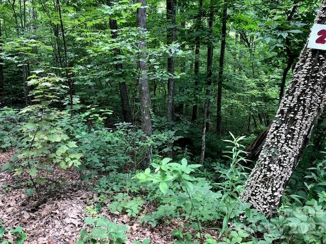 Property image 2 at 00 Butler Ridge Trail, Hendersonville, NC 28792