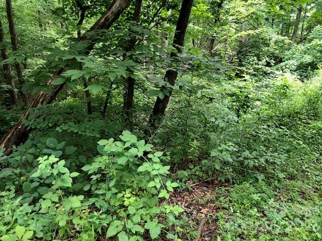 Property image 4 at 00 Butler Ridge Trail, Hendersonville, NC 28792