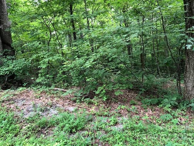 Property image 5 at 00 Butler Ridge Trail, Hendersonville, NC 28792