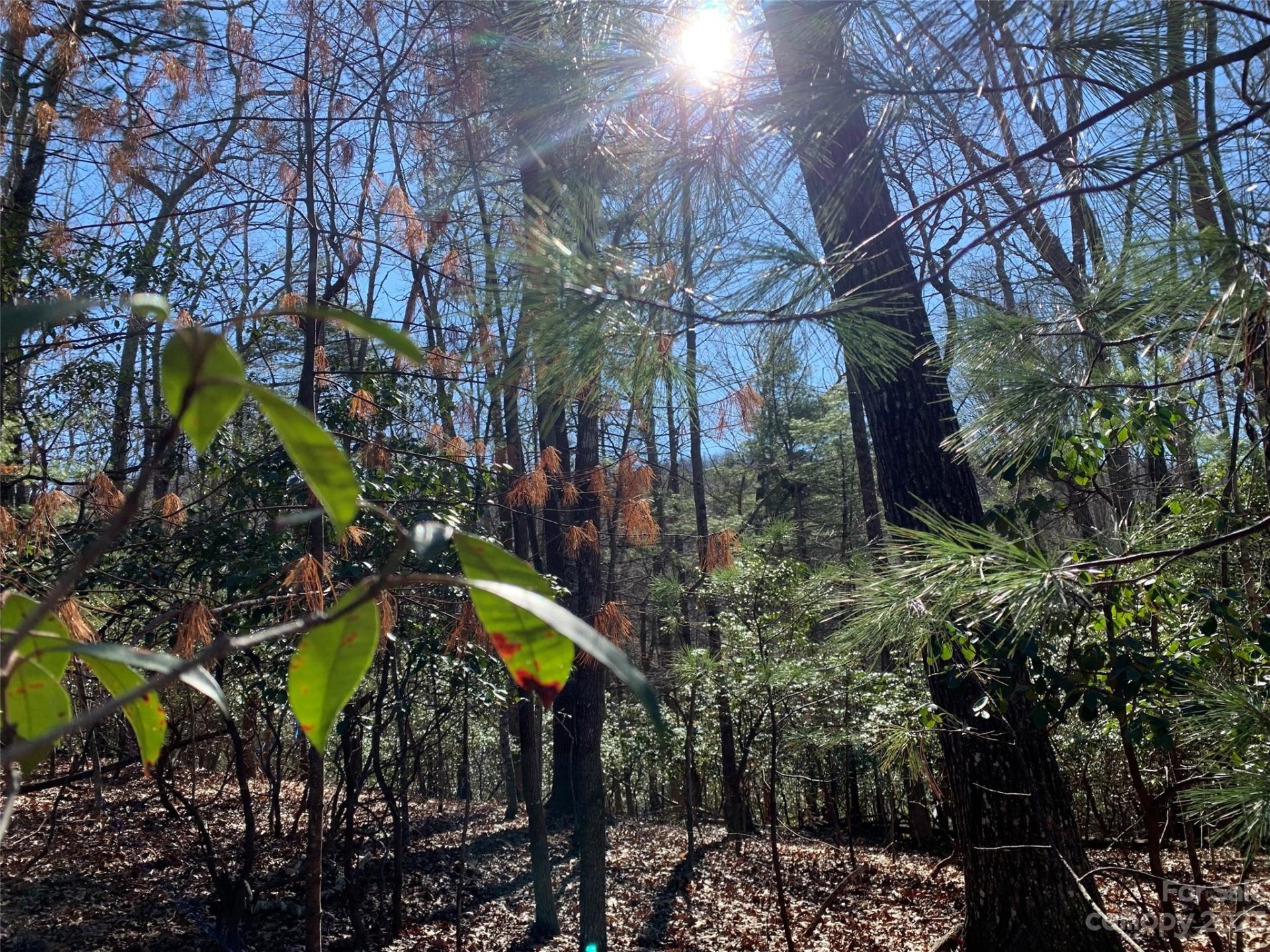 Property image 1 at 000 Timberlane Drive, Pisgah Forest, NC 28768