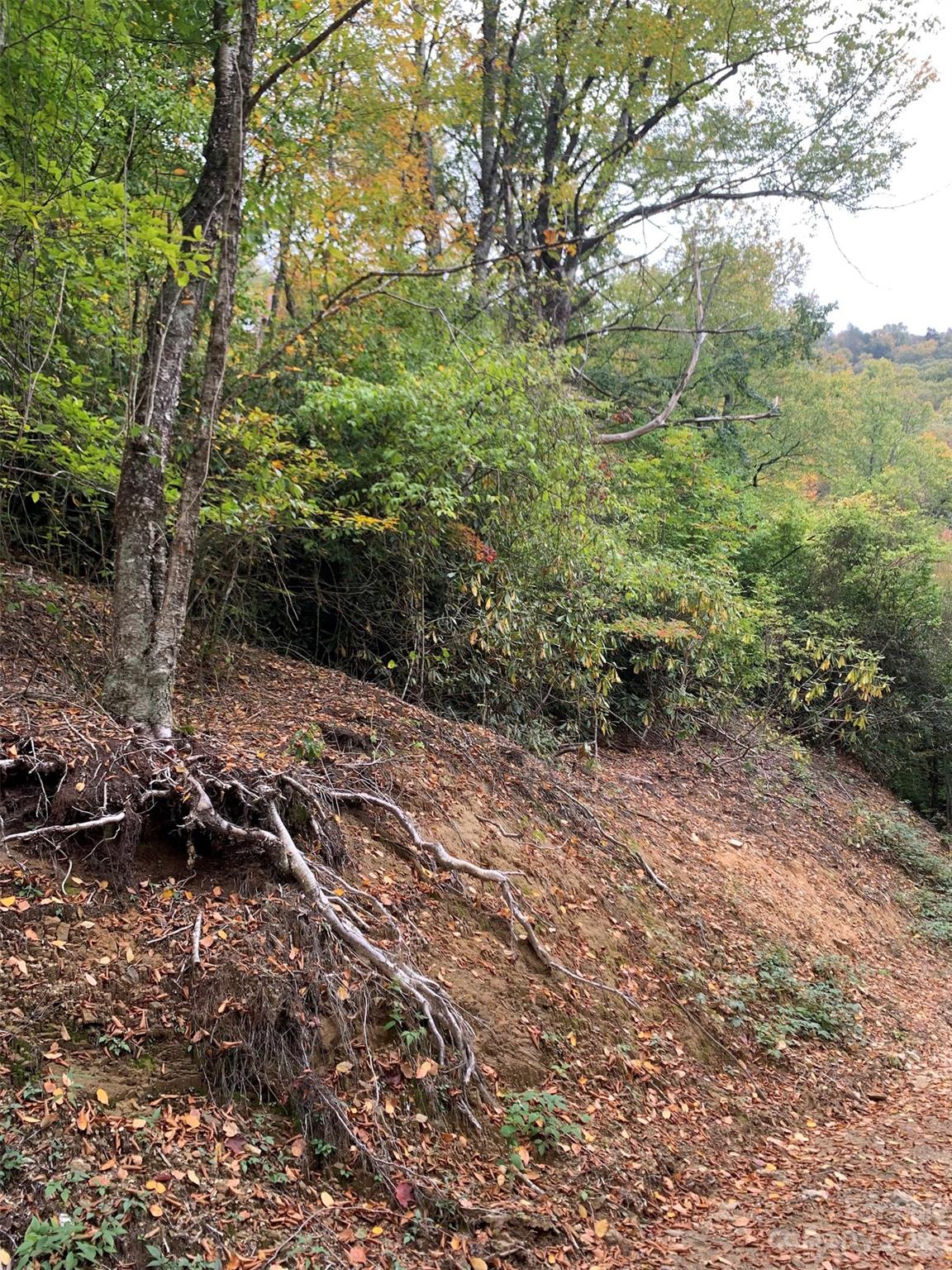 Property at 99999 Plott Balsam Road, Maggie Valley, NC 28751