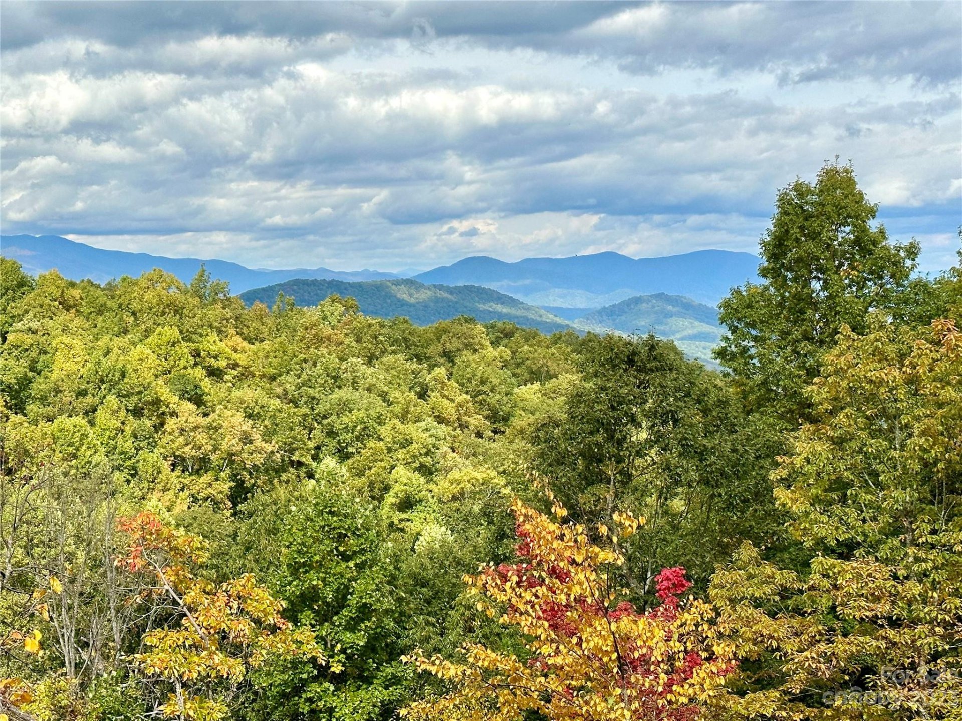 Property image 1 at 9999 Laurel Mountain Trail, Black Mountain, NC 28711