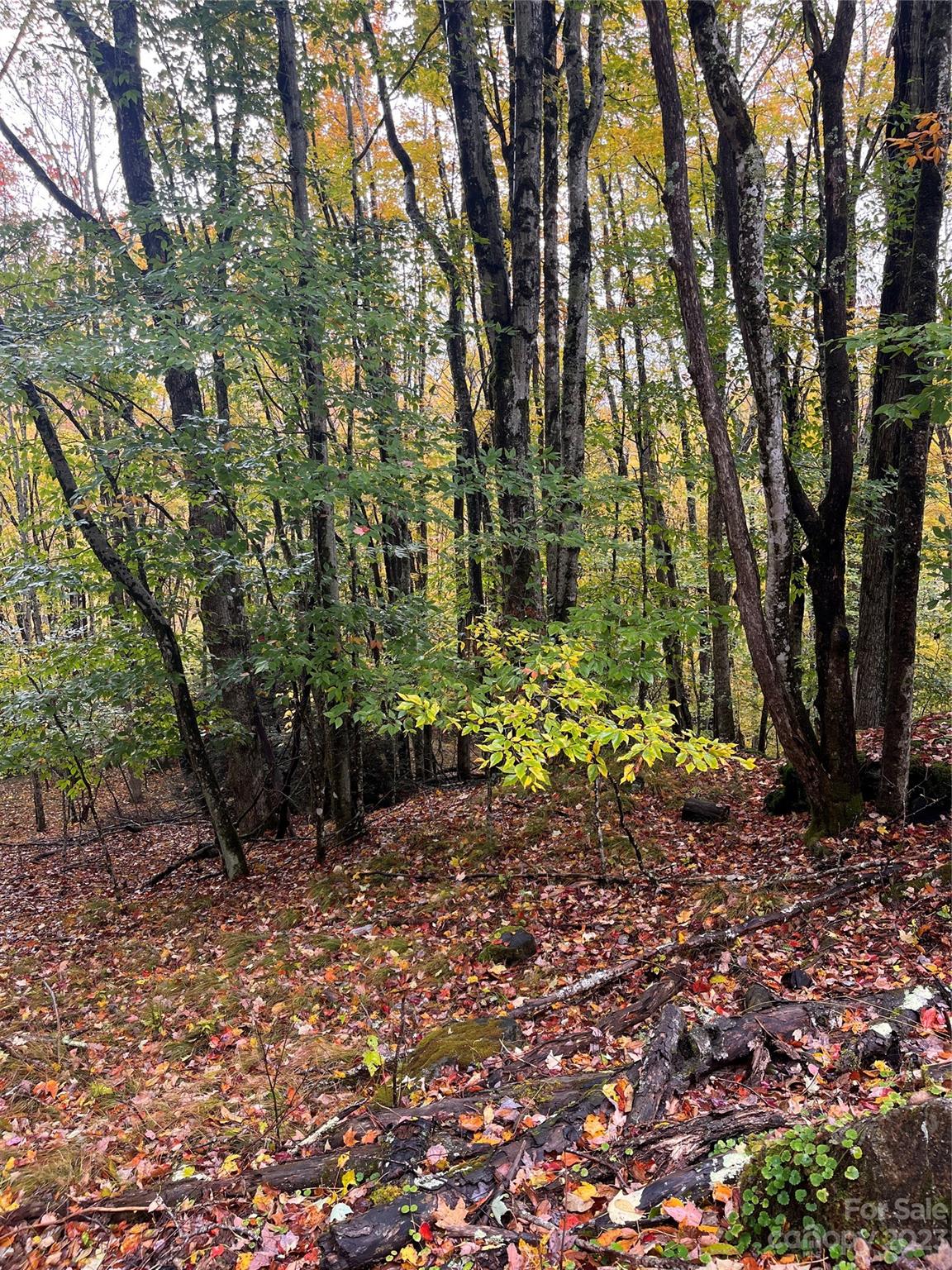 Property image 1 at 164 Wild Daisy Lane, Beech Mountain, NC 28604