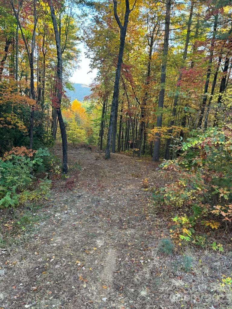 Property image 1 at Tbd Birch Lane, Rosman, NC 28772