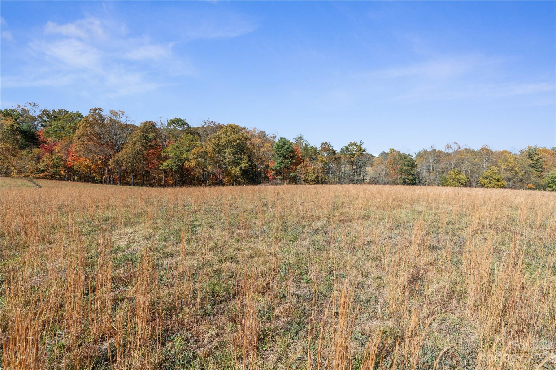 Property image 1 at 85 Scott Meadows Drive, Asheville, NC 28806