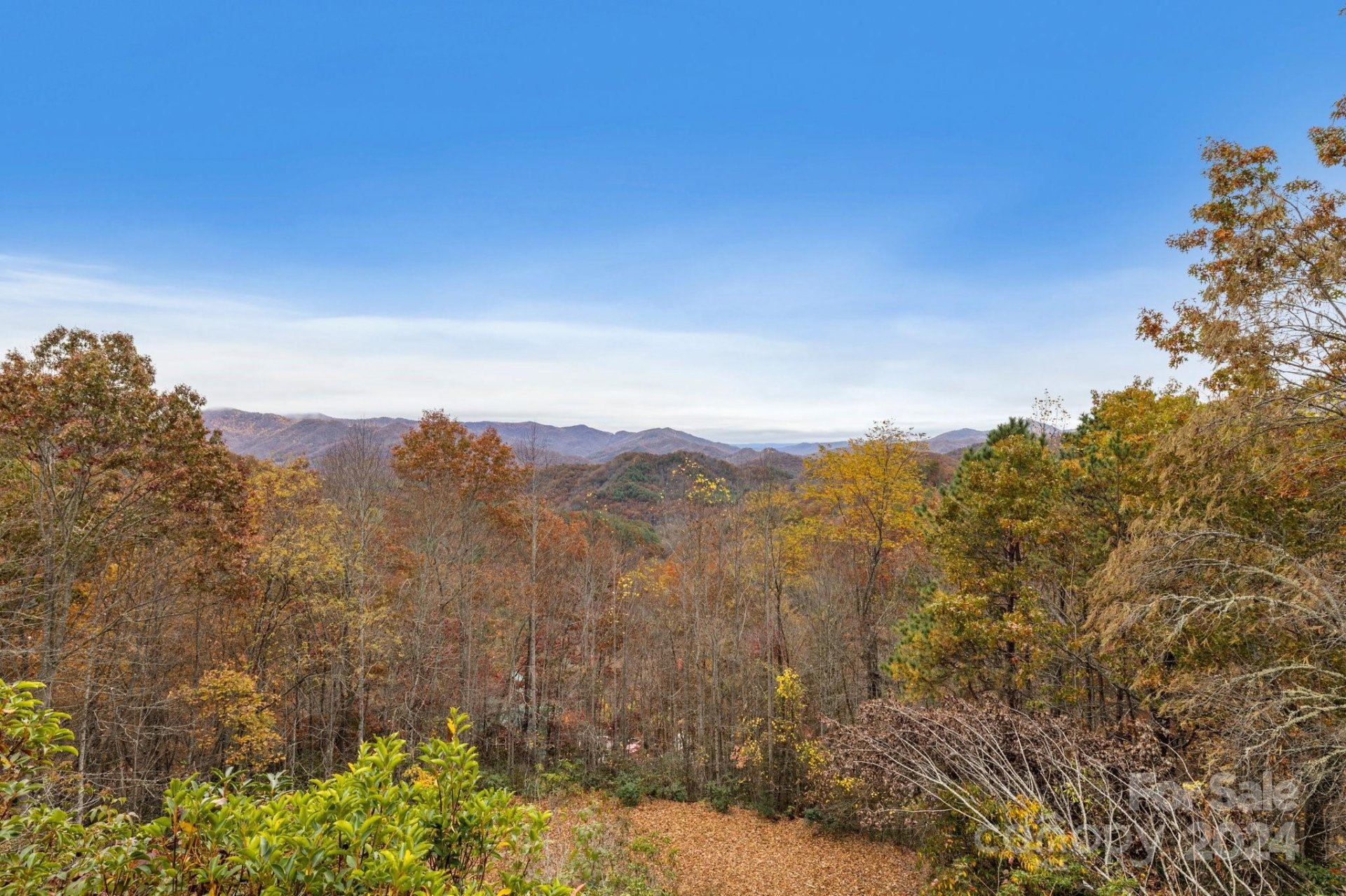 Property image 4 at 425 Turkey Run, Bryson City, NC 28713