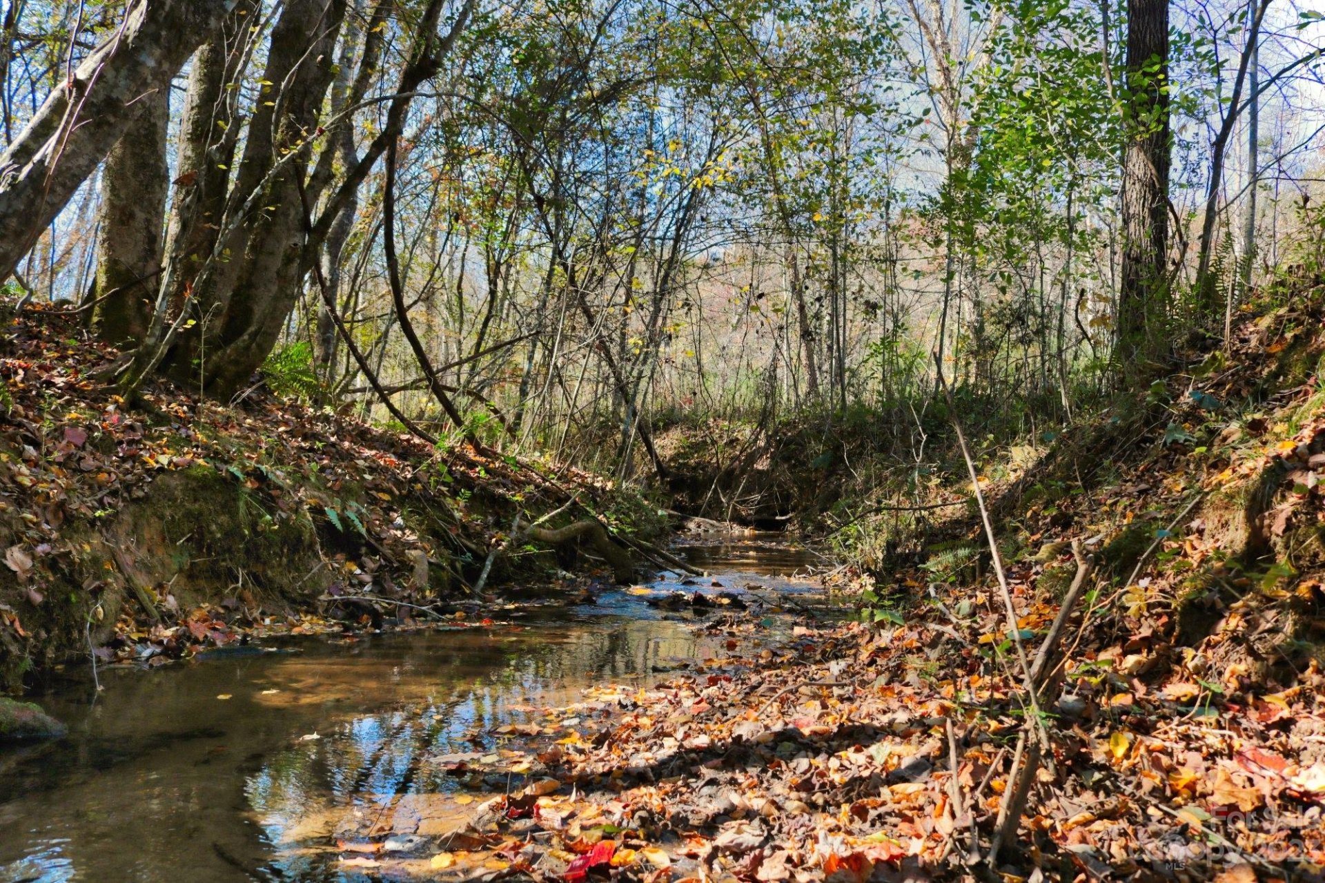 Property image 1 at 0 Willowby Run, Union Mills, NC 28167