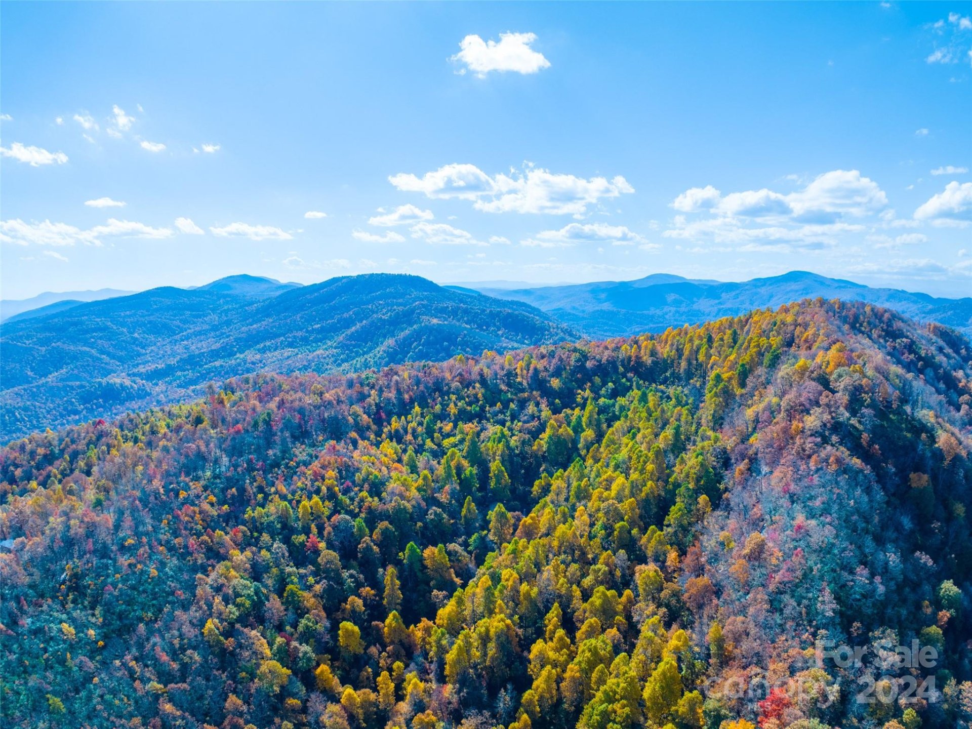 Property image 2 at 9999 Cliffledge Trail, Black Mountain, NC 28711