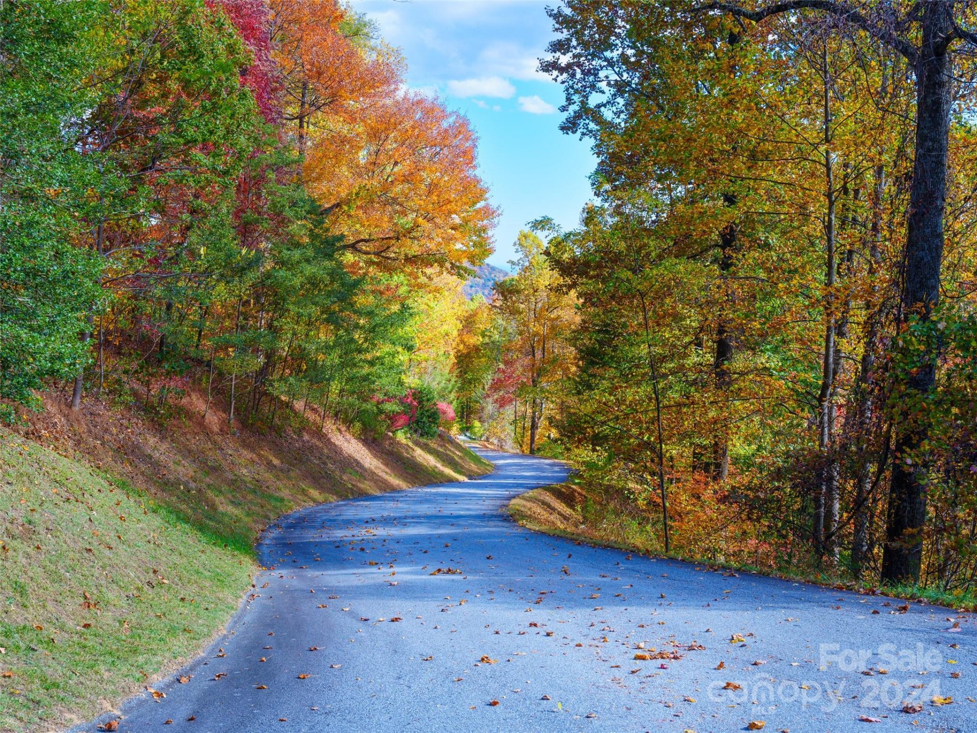 Property image 3 at 9999 Cliffledge Trail, Black Mountain, NC 28711