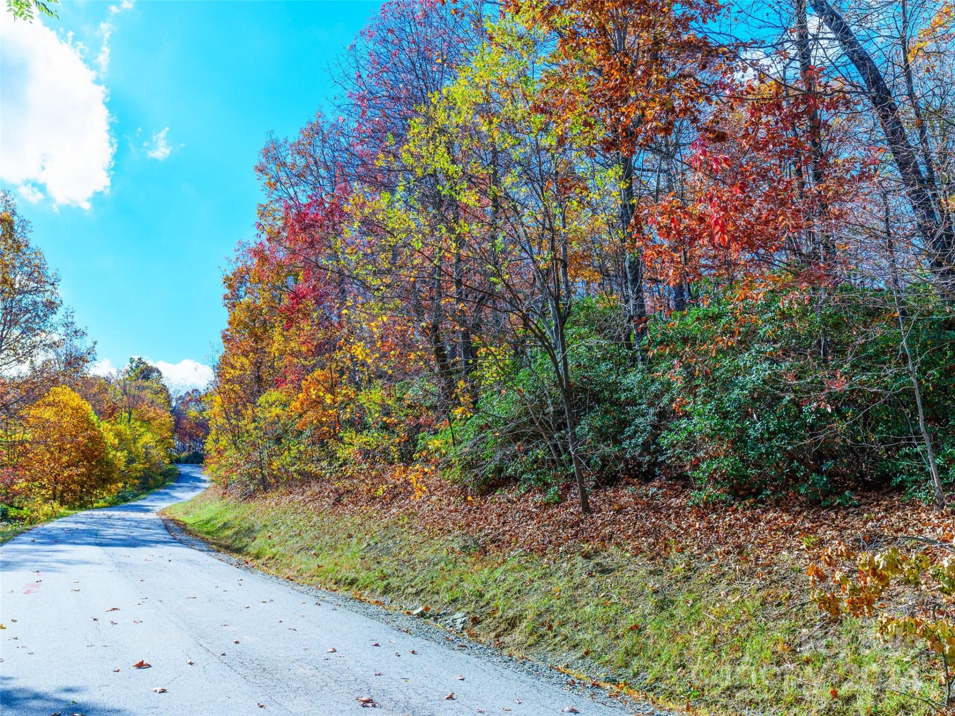 Property image 4 at 9999 Cliffledge Trail, Black Mountain, NC 28711