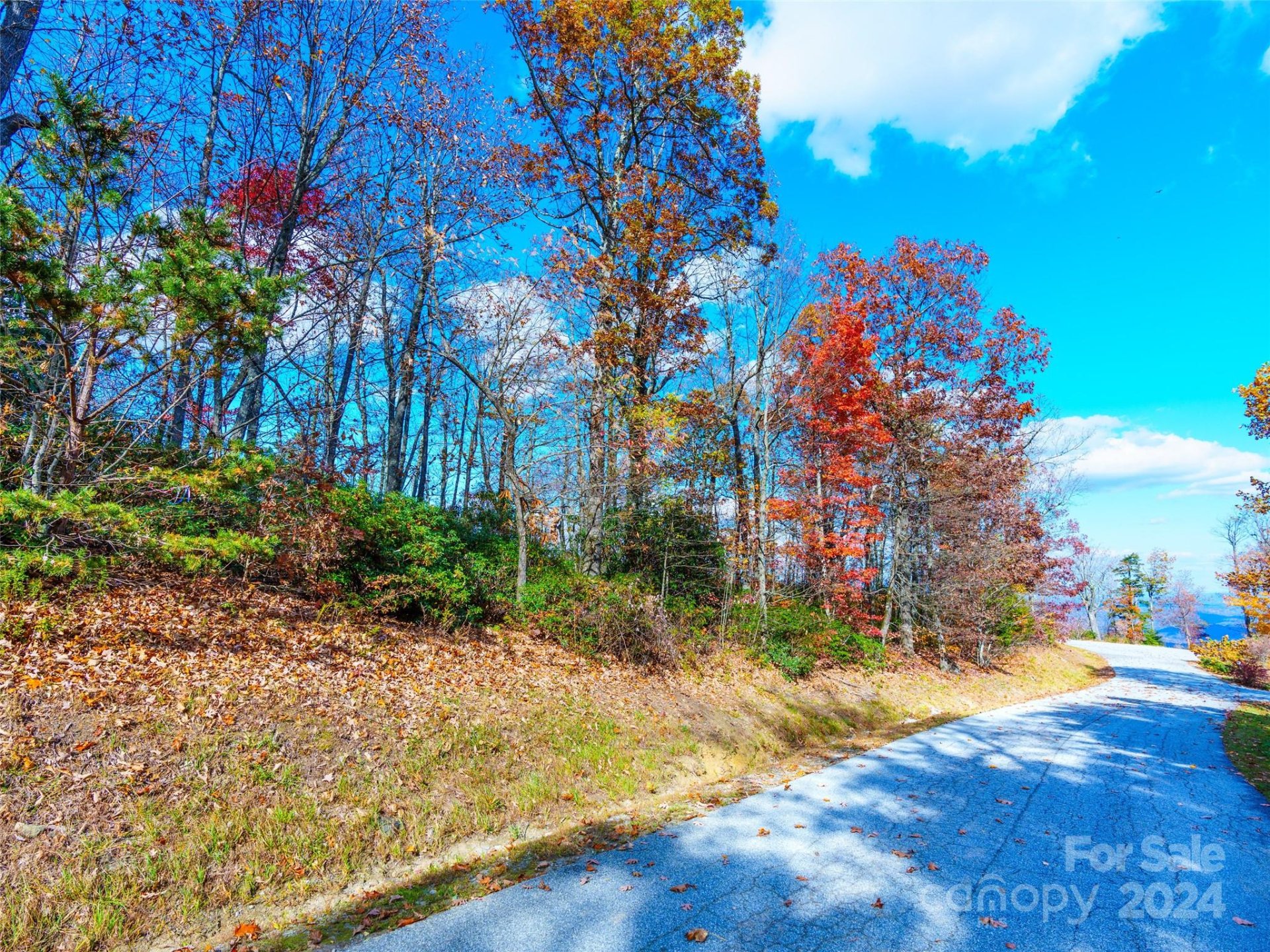 Property image 5 at 9999 Cliffledge Trail, Black Mountain, NC 28711