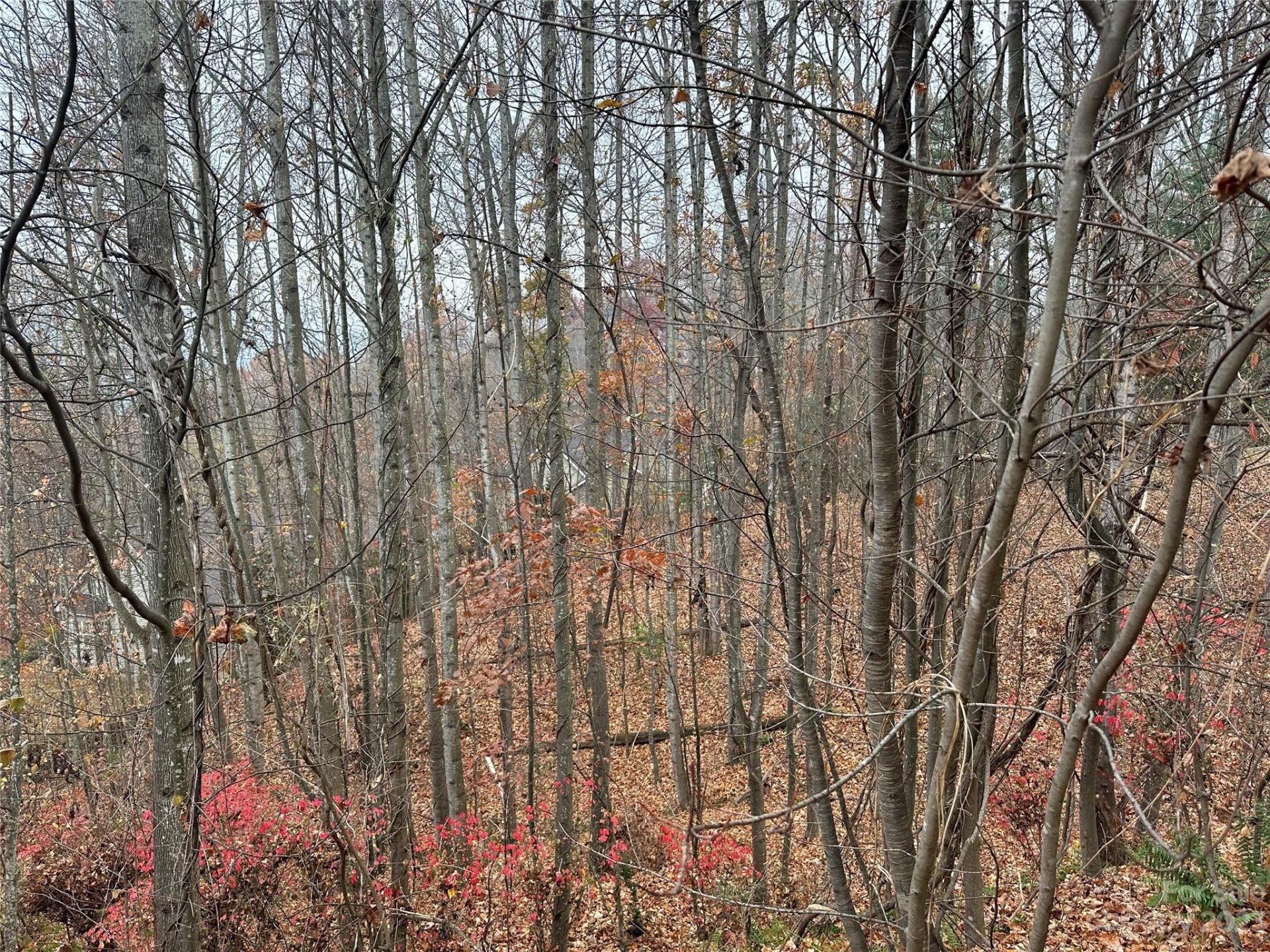 Property image 2 at 99999 Carriage Summit Way, Hendersonville, NC 28791