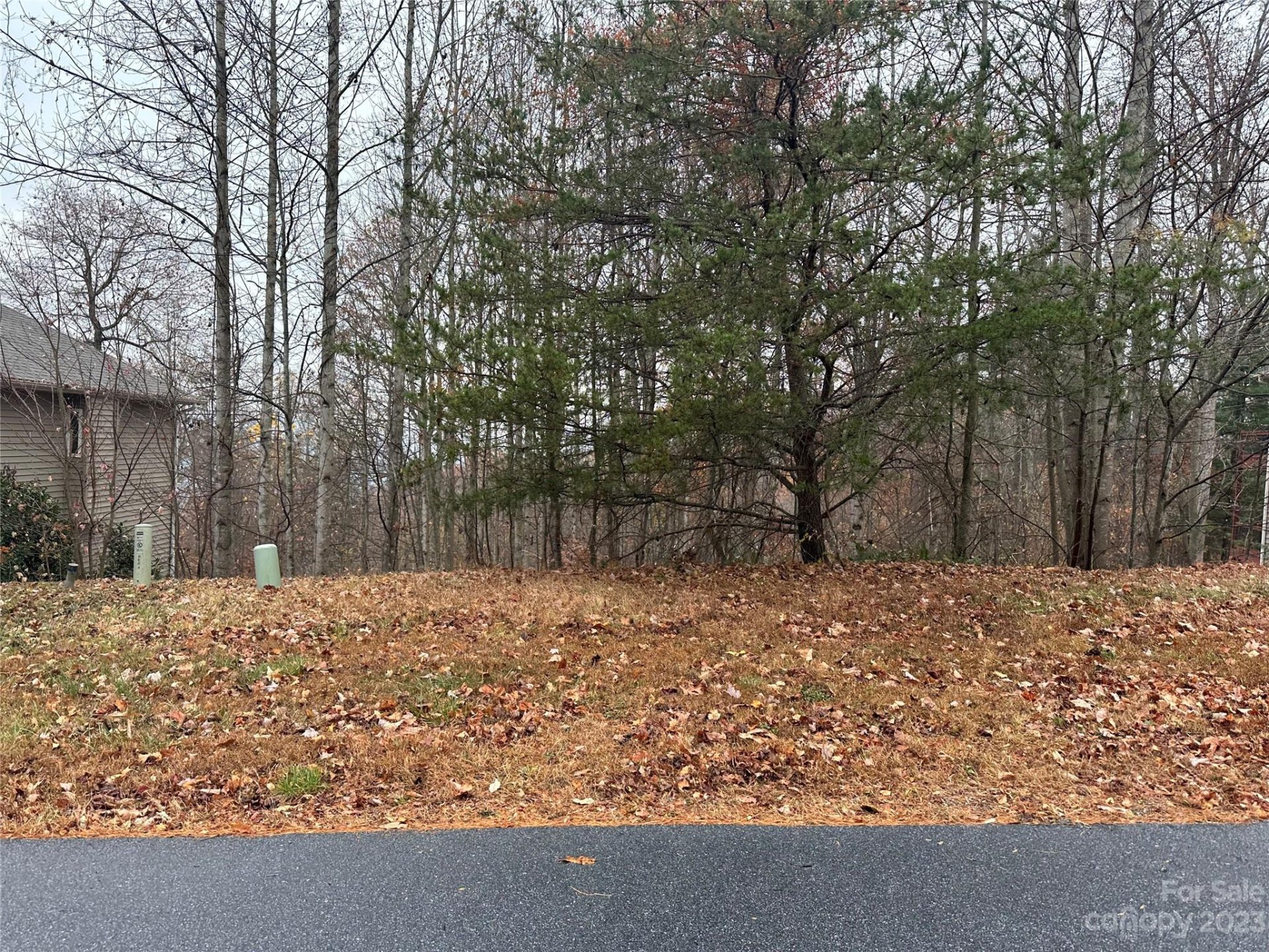 Property image 3 at 99999 Carriage Summit Way, Hendersonville, NC 28791