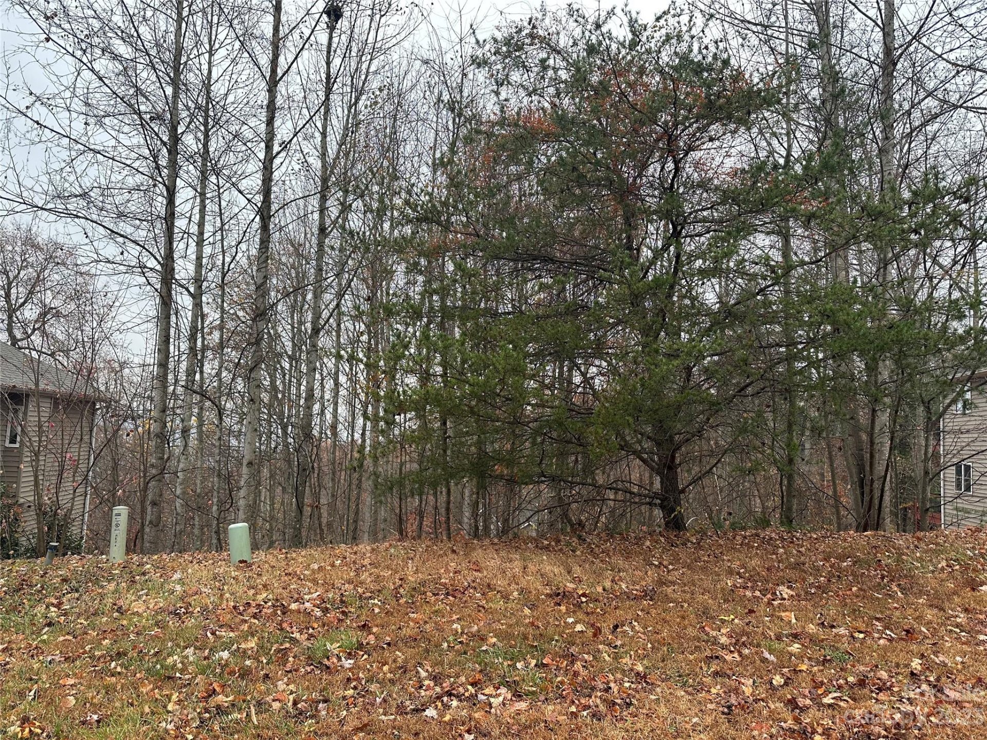 Property image 4 at 99999 Carriage Summit Way, Hendersonville, NC 28791
