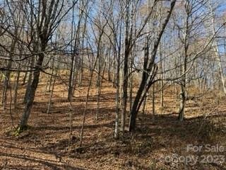 00 Tawodi Trail