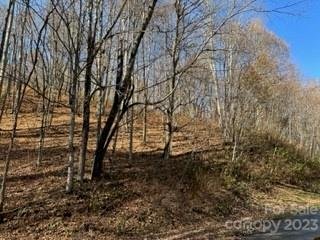 Property image 3 at 00 Tawodi Trail, Maggie Valley, NC 28751