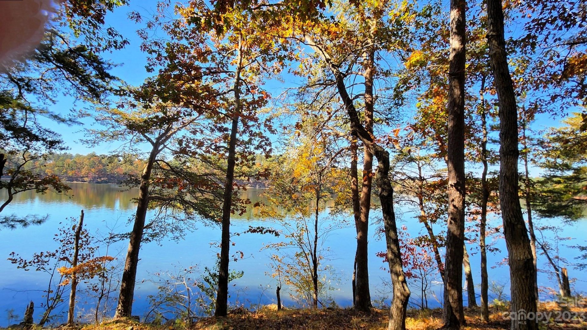 129 Deep River Court