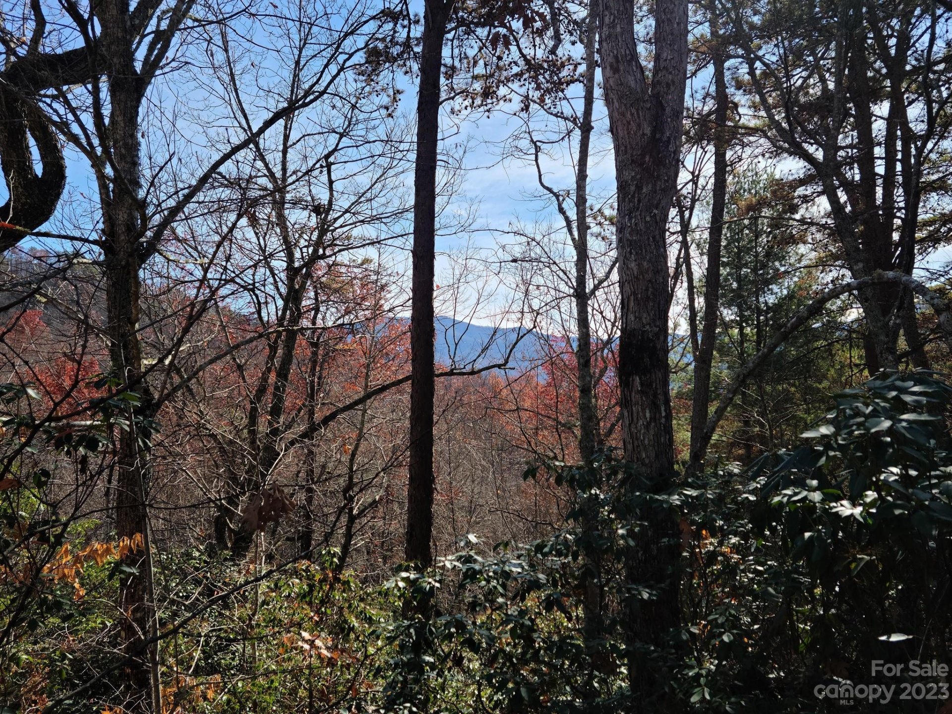 Property at 000000 Blue Vista Road, Canton, NC 28716