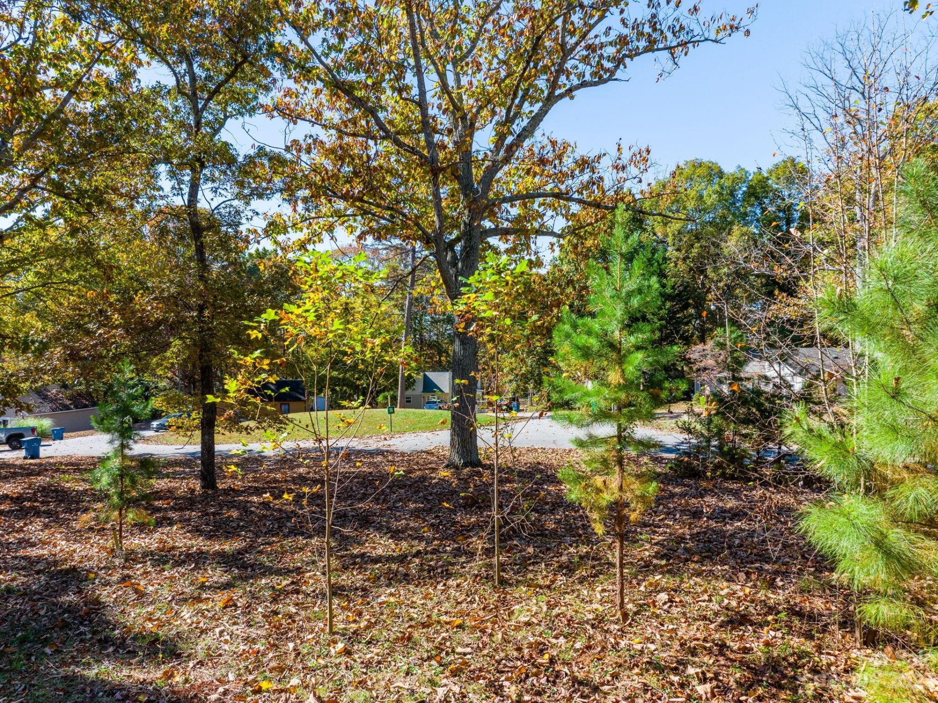 Property image 4 at 1890 Thoreau Court, Connelly Springs, NC 28612