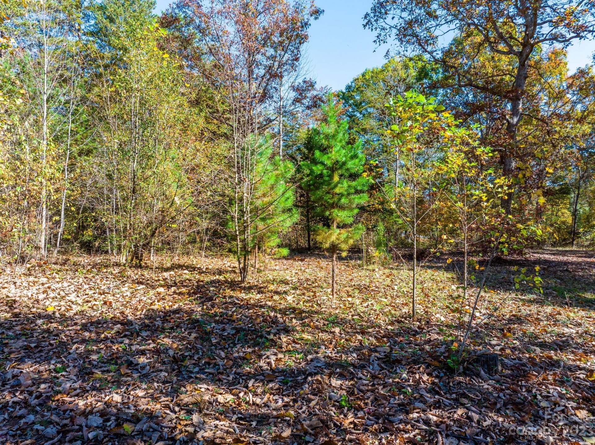 Property image 5 at 1890 Thoreau Court, Connelly Springs, NC 28612