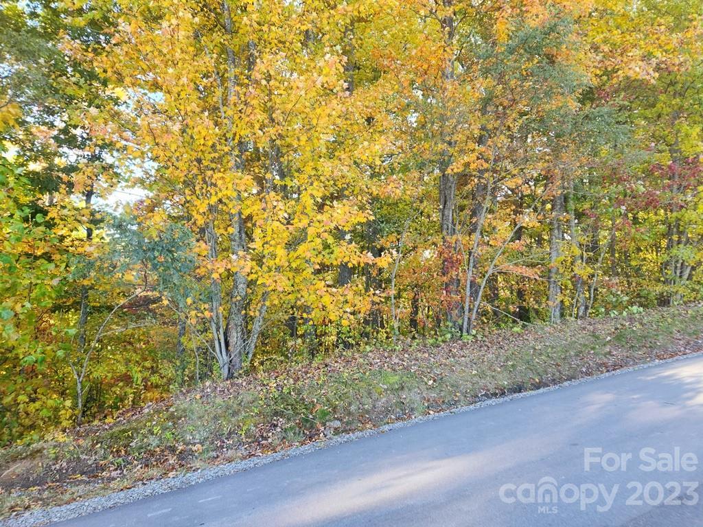 Property image 1 at 0 Signature Row Boulevard, Waynesville, NC 28785