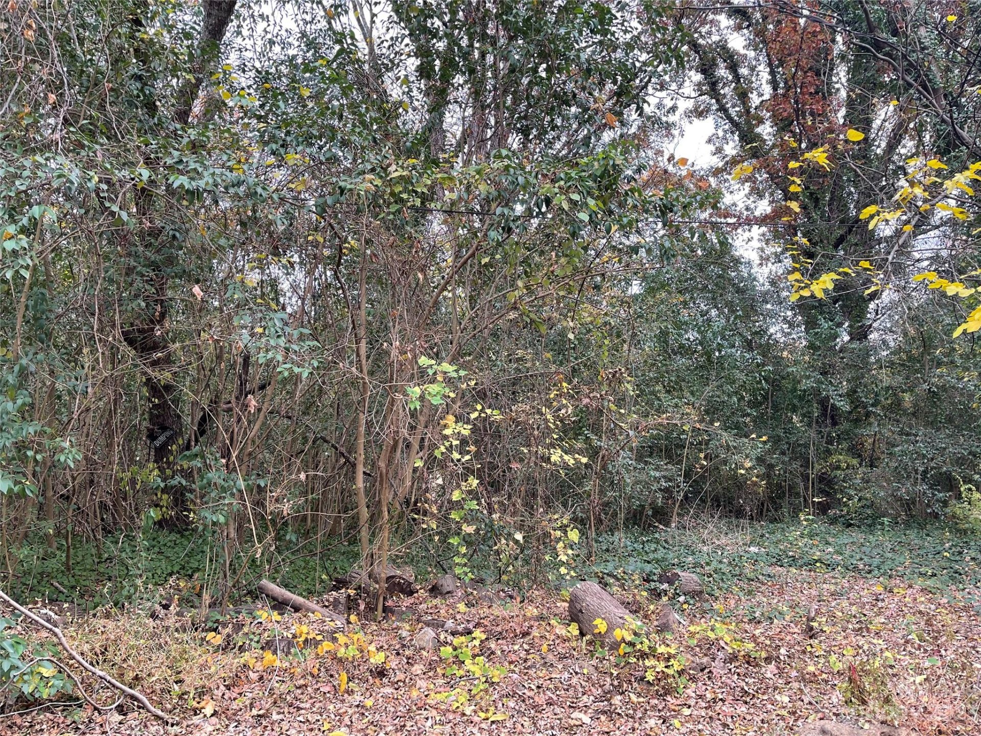 Property image 1 at 000 Vinton Street, Charlotte, NC 28216