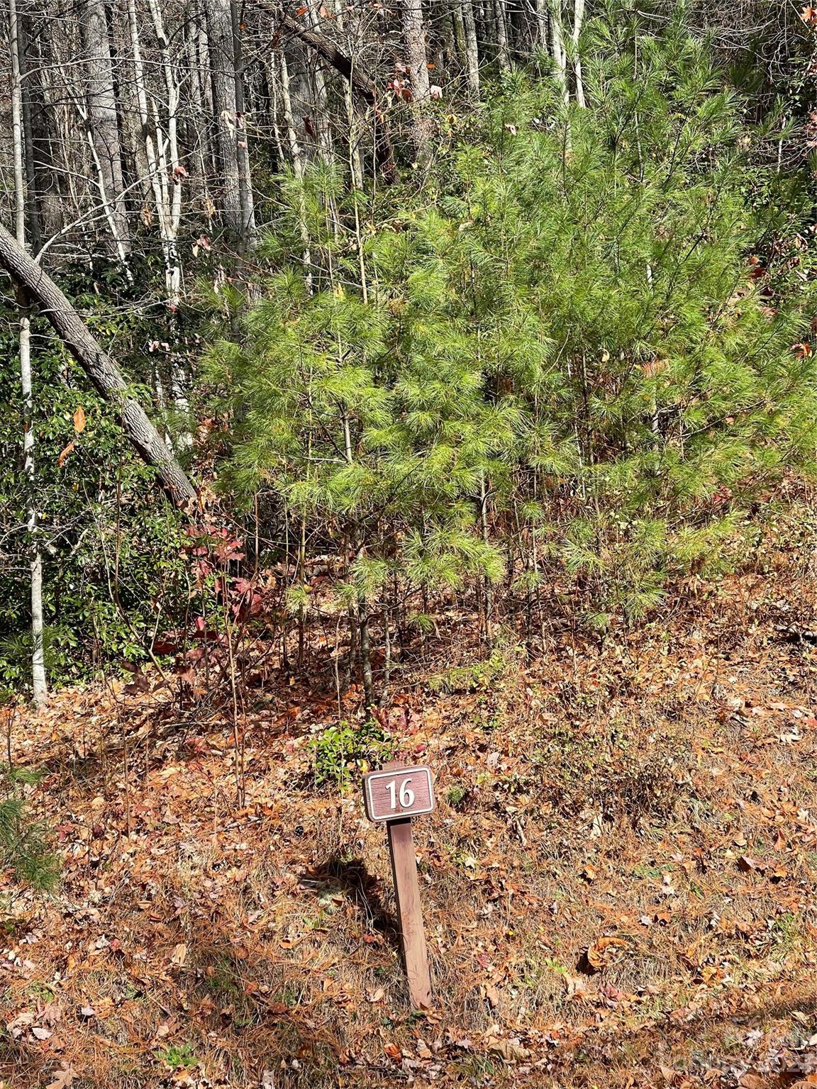 0000 Juniper Berry Lane